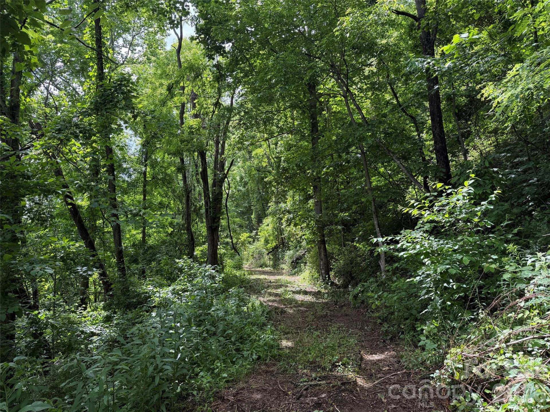 00 Panorama Drive #17 - Photo 3