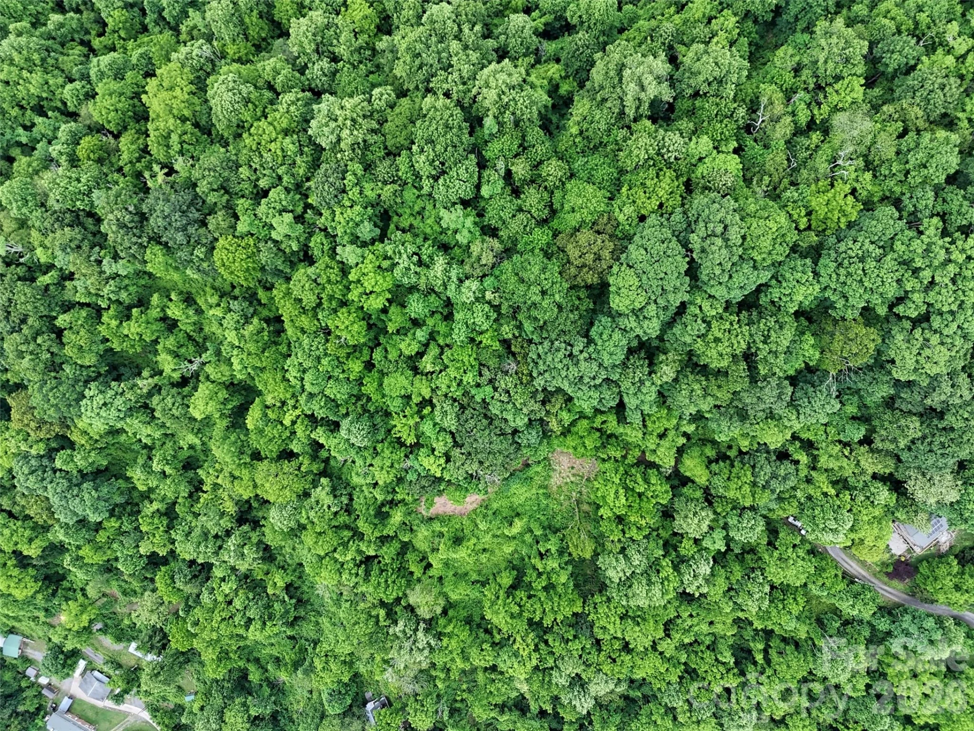 00 Panorama Drive #17 - Photo 9