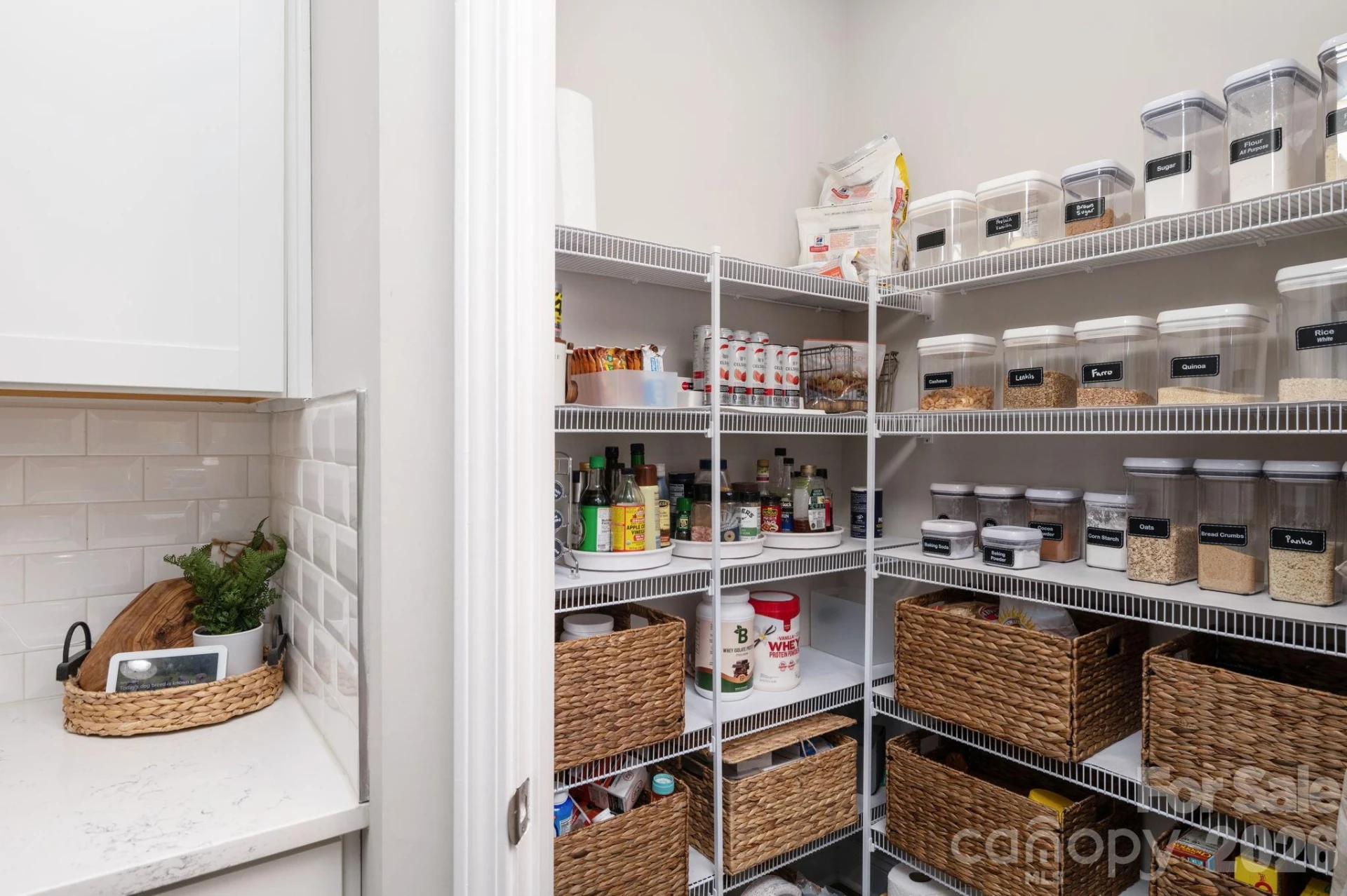45 Dreambird Drive - Photo 10