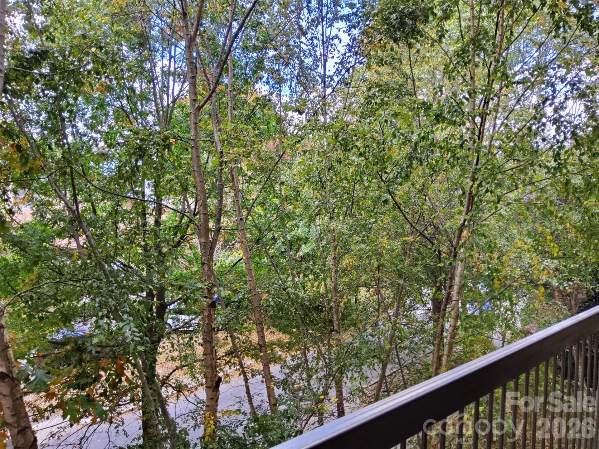 155 S Lexington Avenue #203 - Photo 33