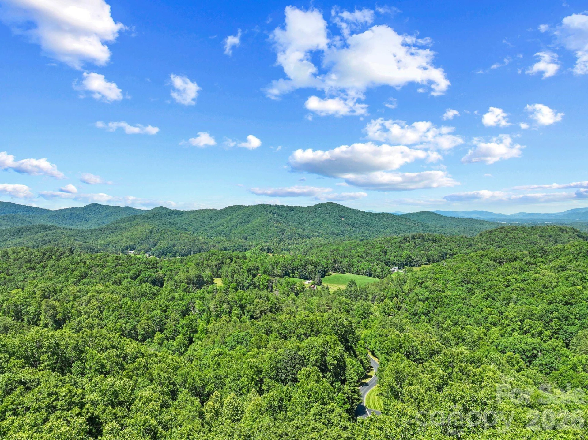 472 Mills River Way - Photo 2