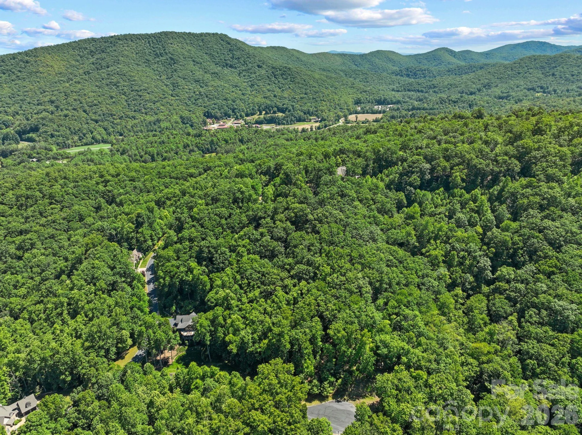 472 Mills River Way - Photo 11
