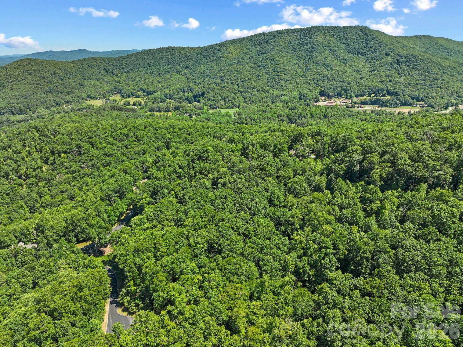 472 Mills River Way - Photo 12