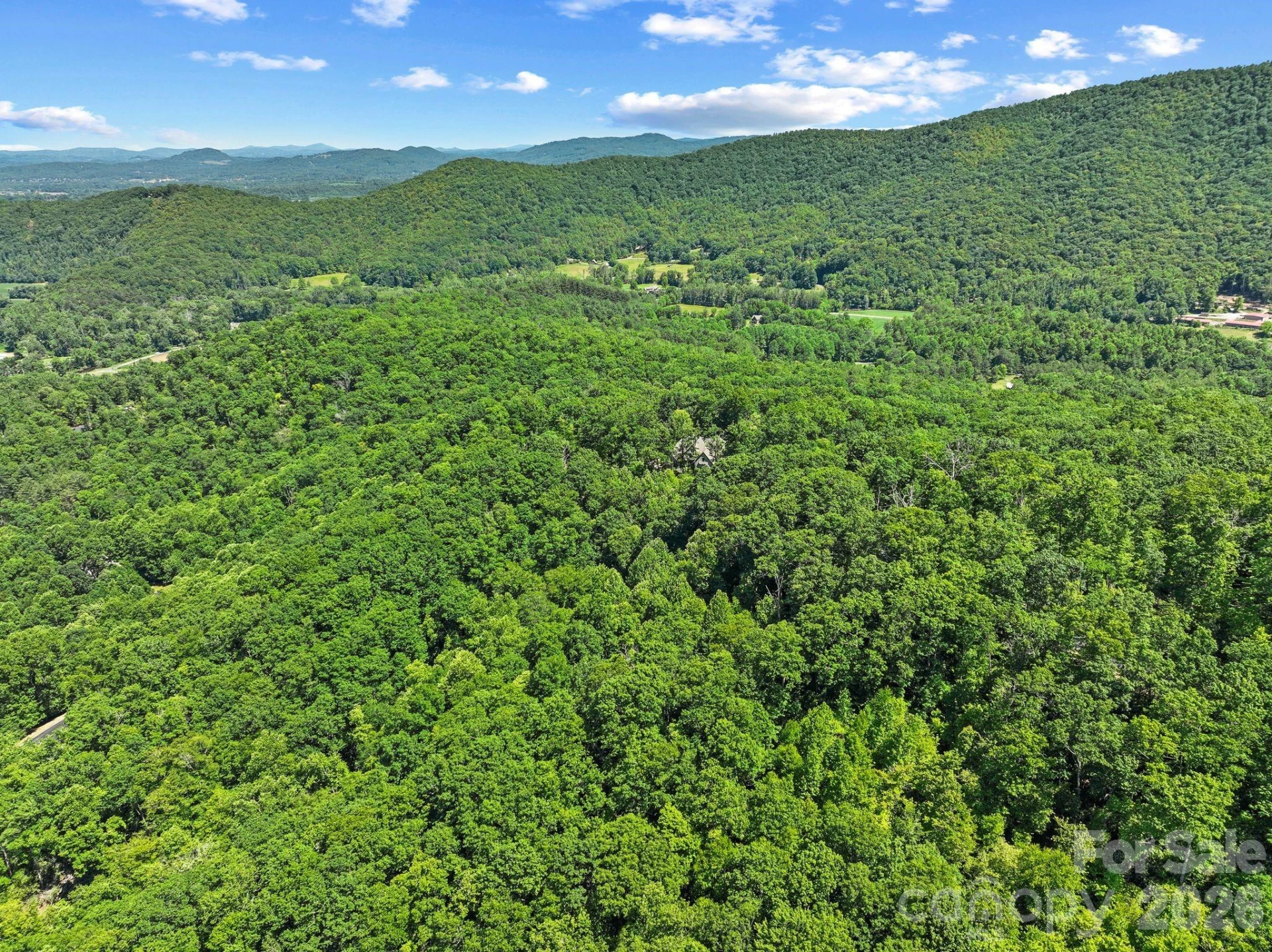 472 Mills River Way - Photo 13