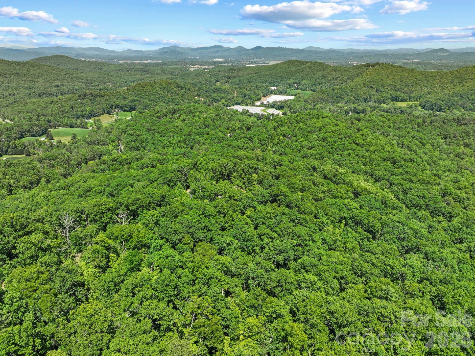 472 Mills River Way - Photo 14