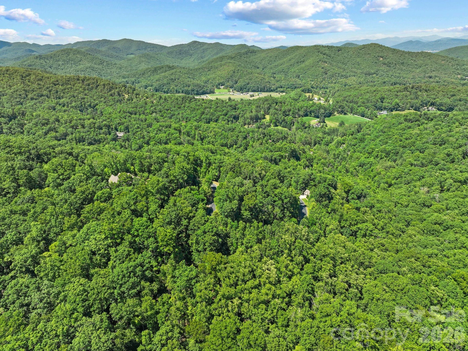 472 Mills River Way - Photo 17
