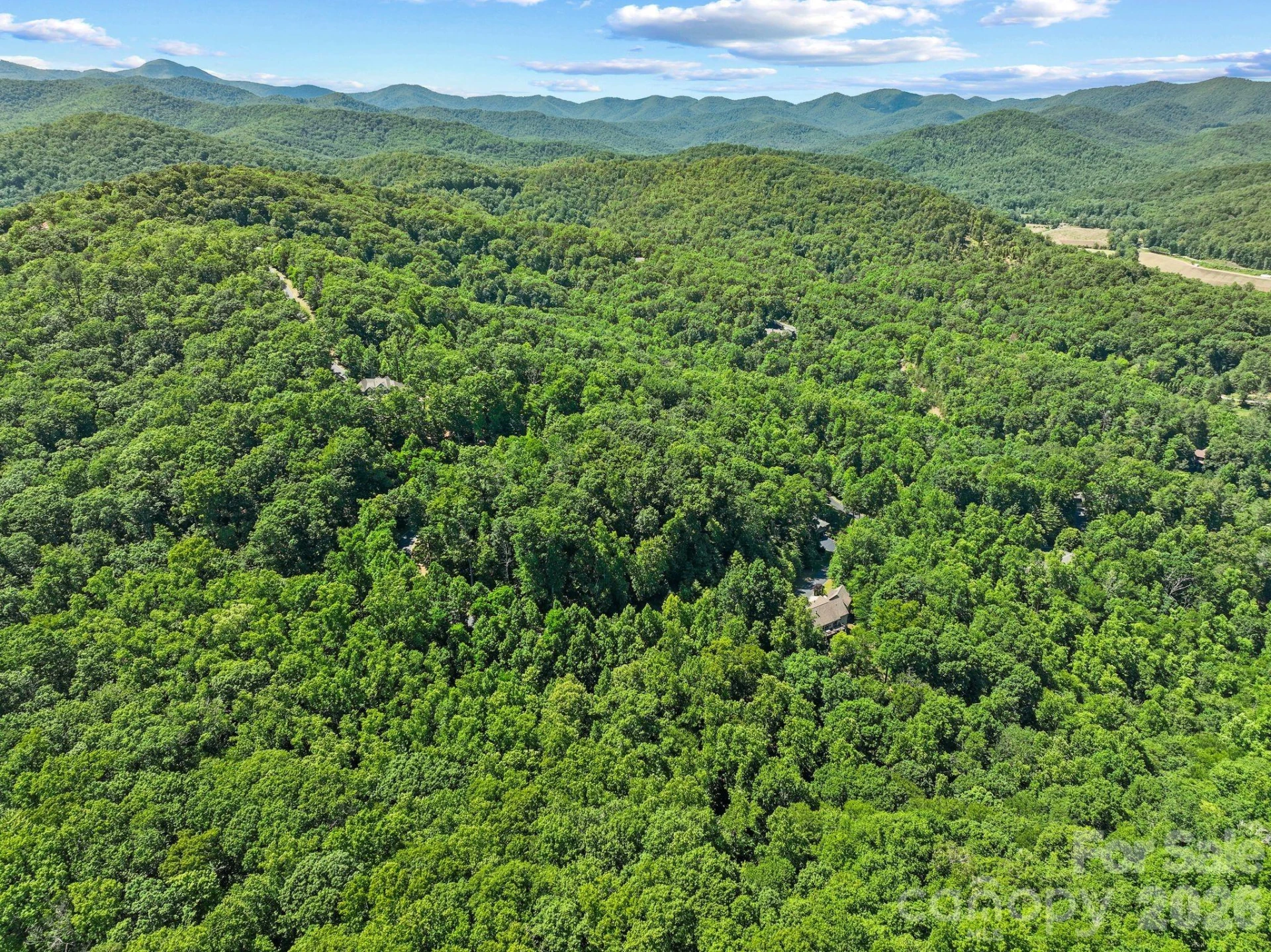 472 Mills River Way - Photo 18