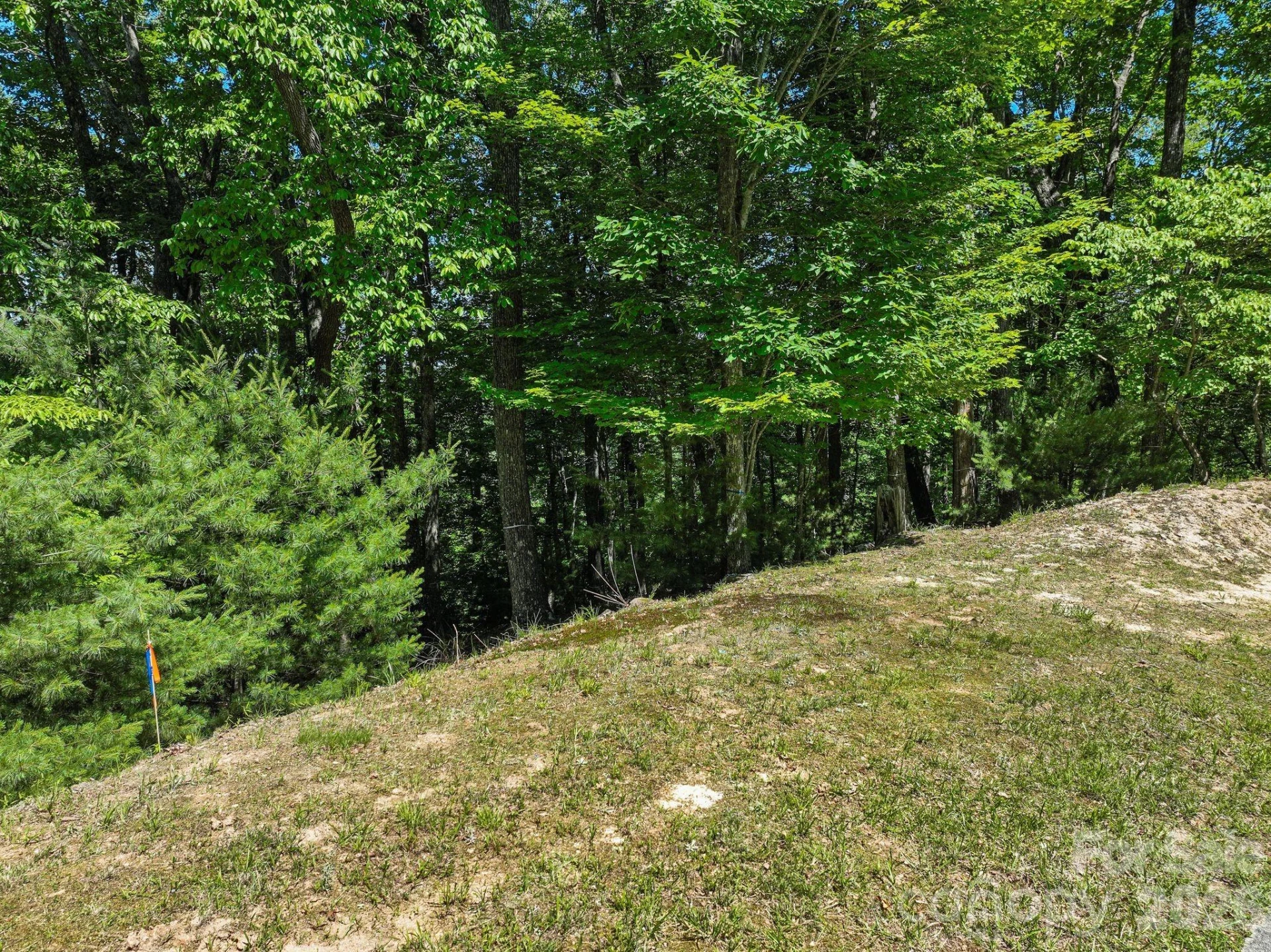 472 Mills River Way - Photo 20