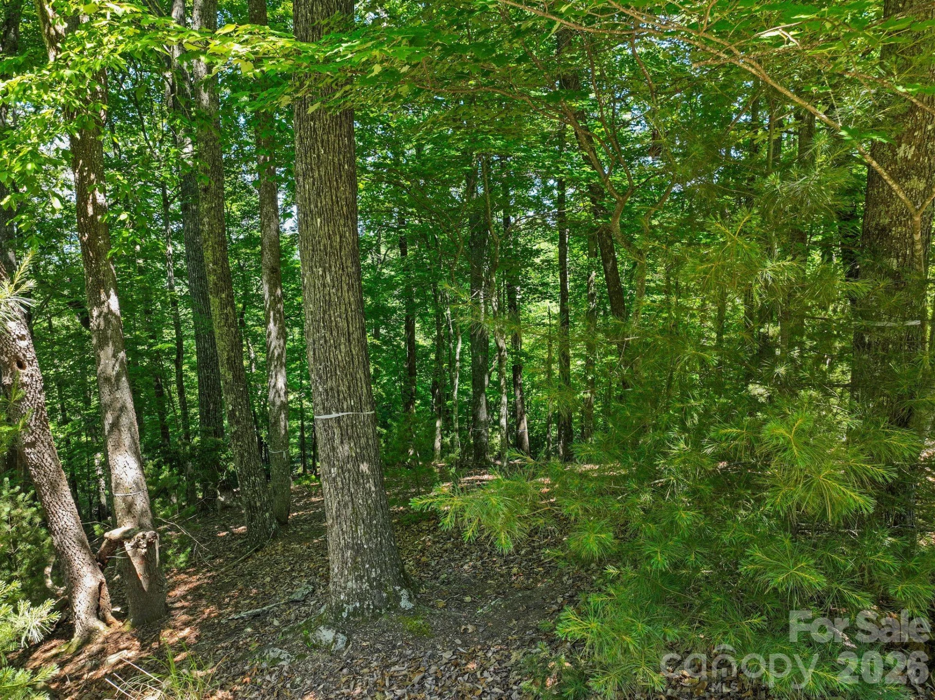 472 Mills River Way - Photo 21