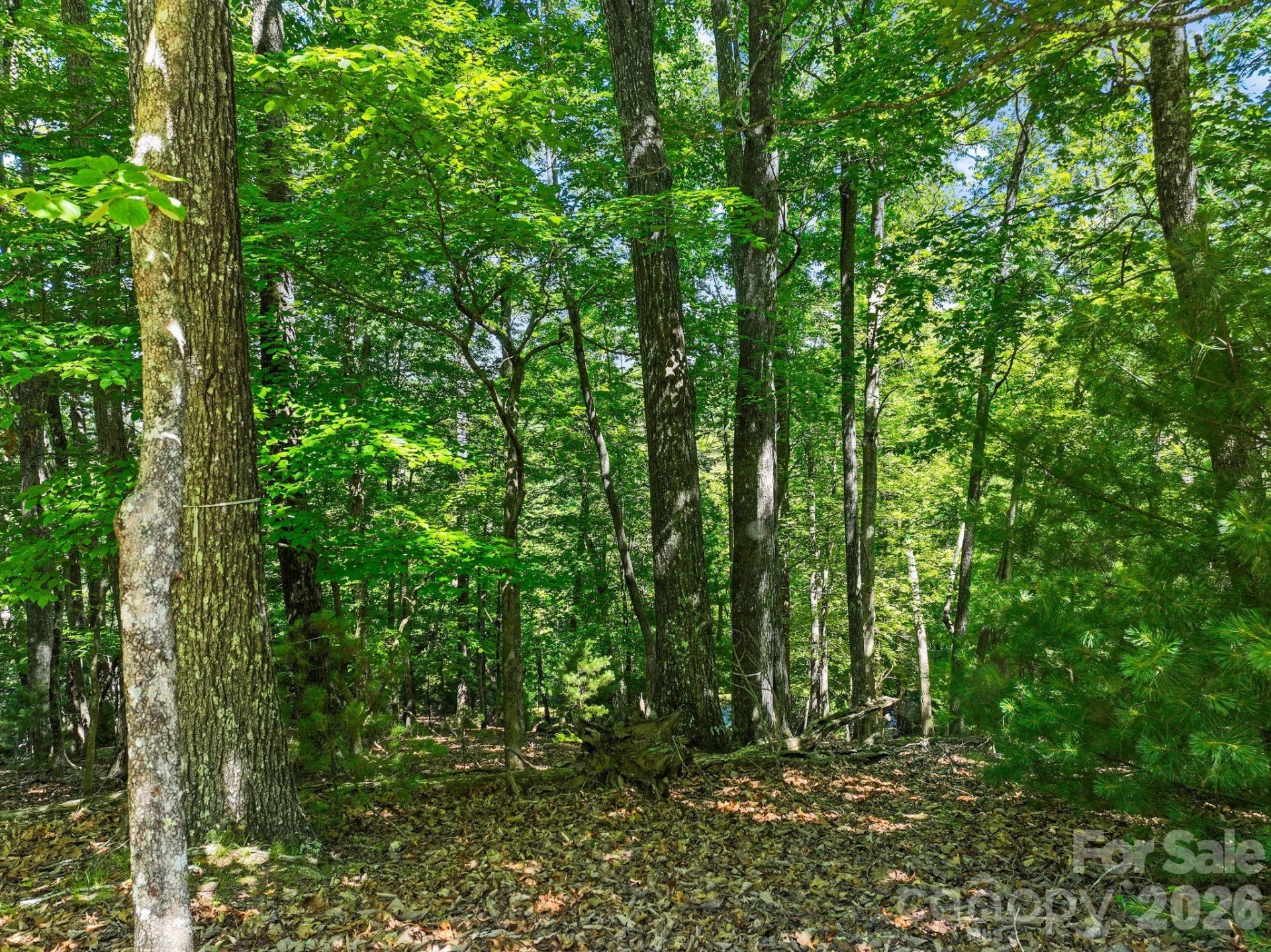 472 Mills River Way - Photo 23
