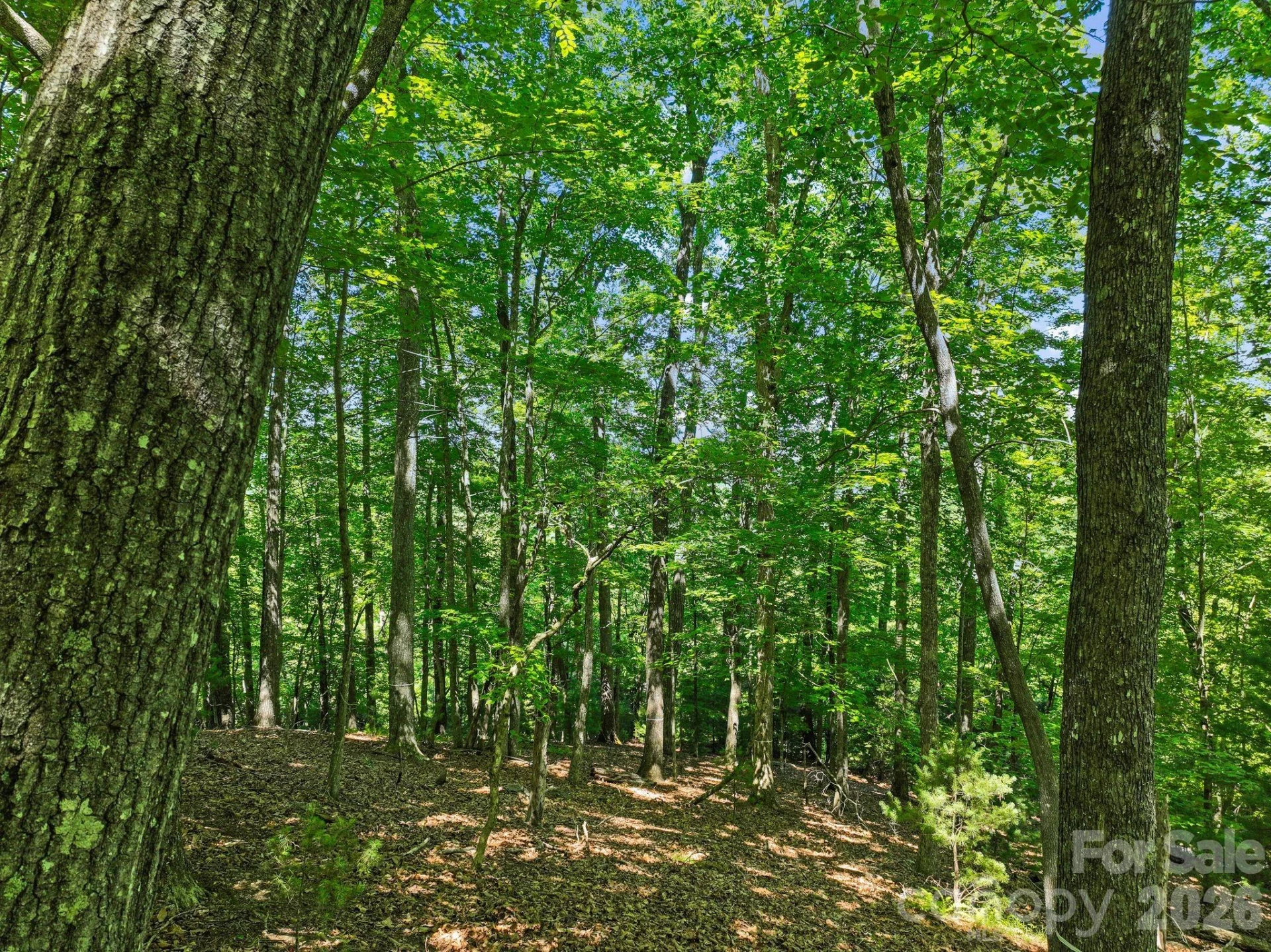 472 Mills River Way - Photo 24