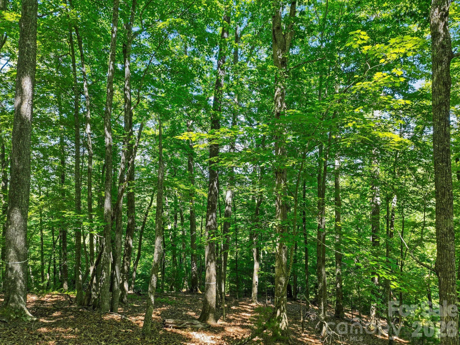 472 Mills River Way - Photo 25