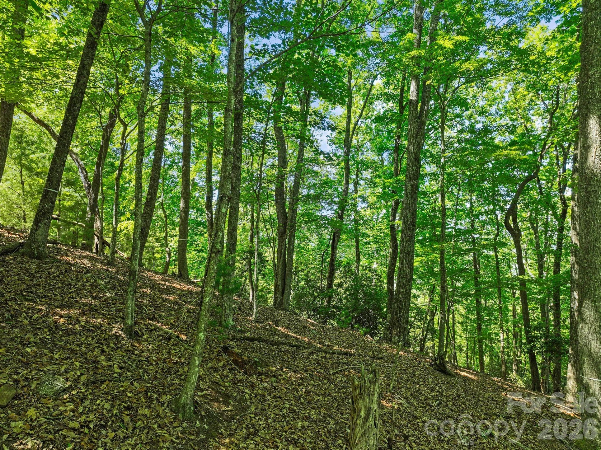 472 Mills River Way - Photo 26