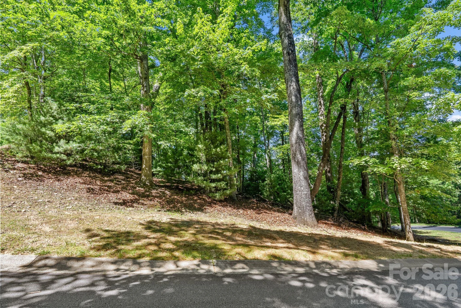 472 Mills River Way - Photo 4