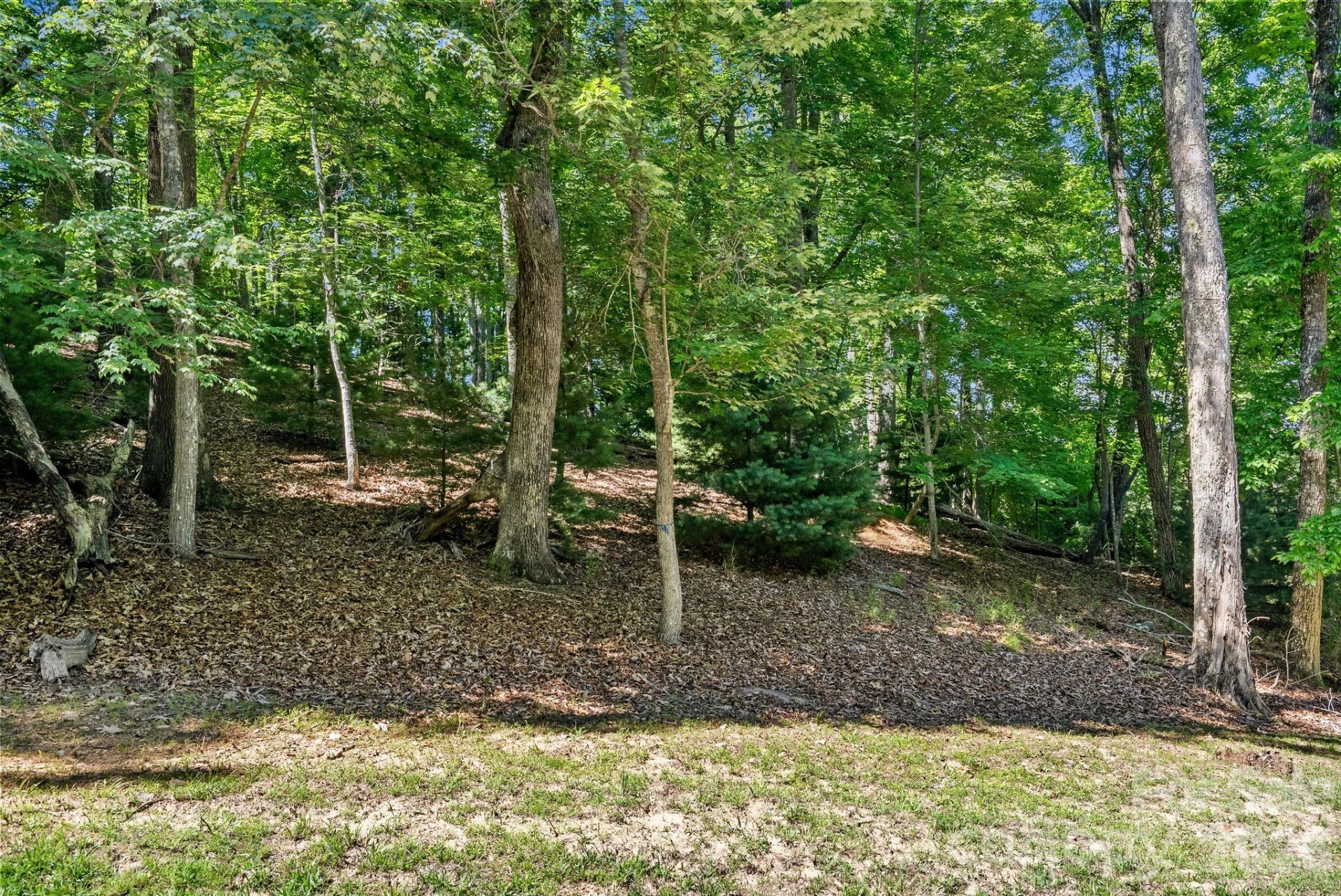 472 Mills River Way - Photo 5
