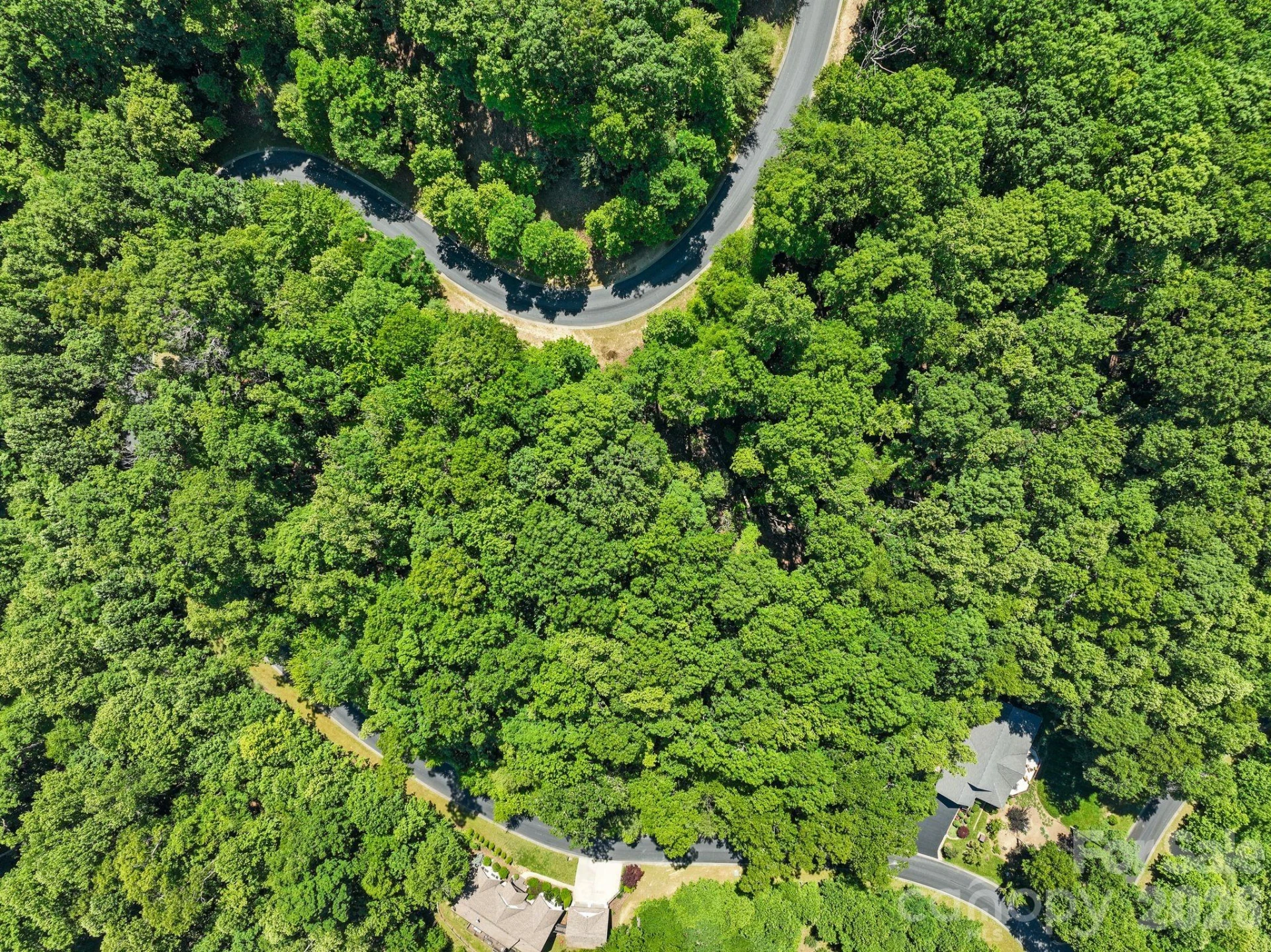 472 Mills River Way - Photo 7