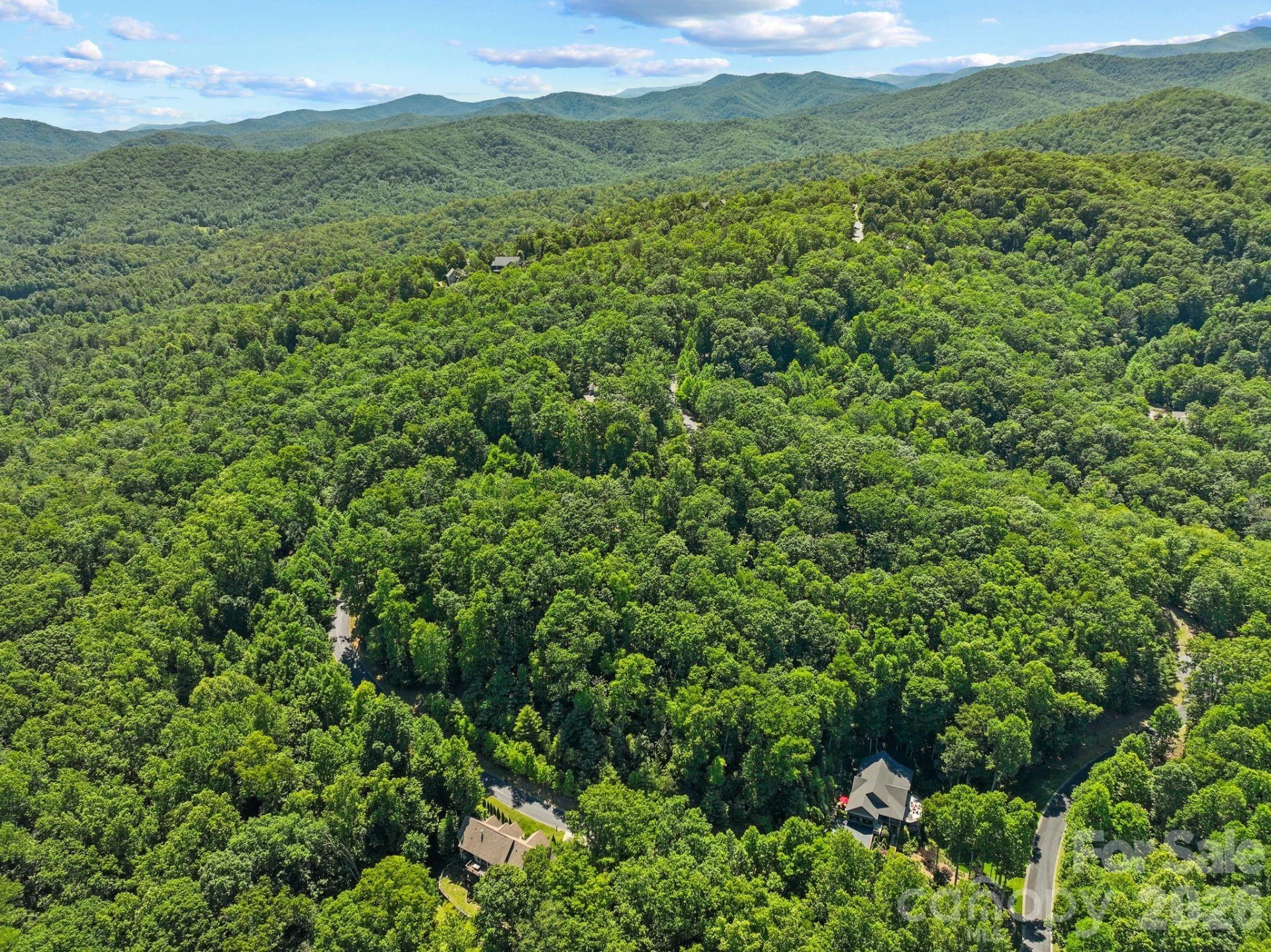 472 Mills River Way - Photo 8