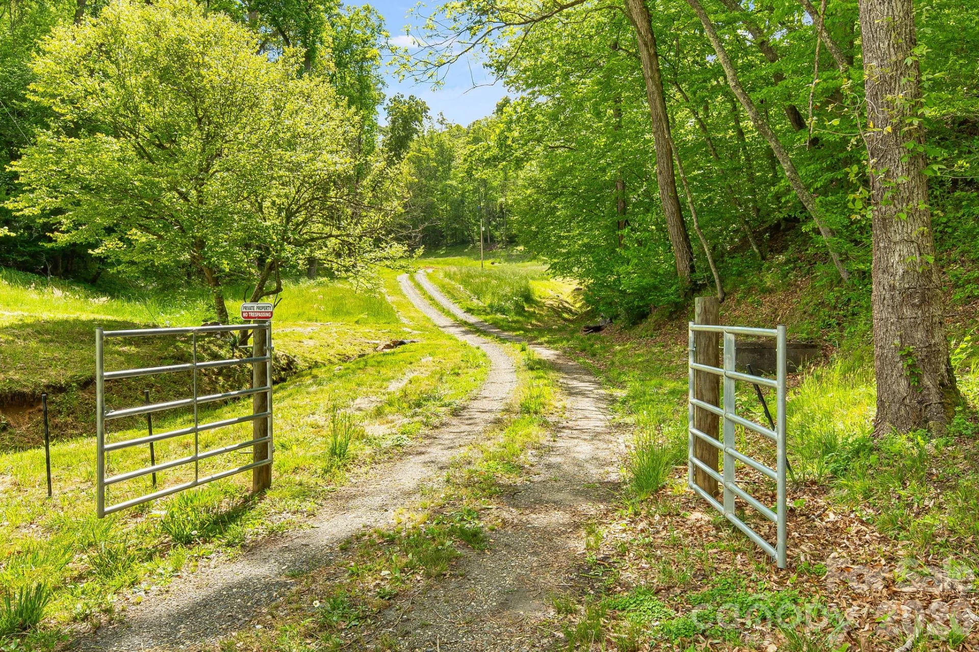 TBD California Creek Road - Photo 2