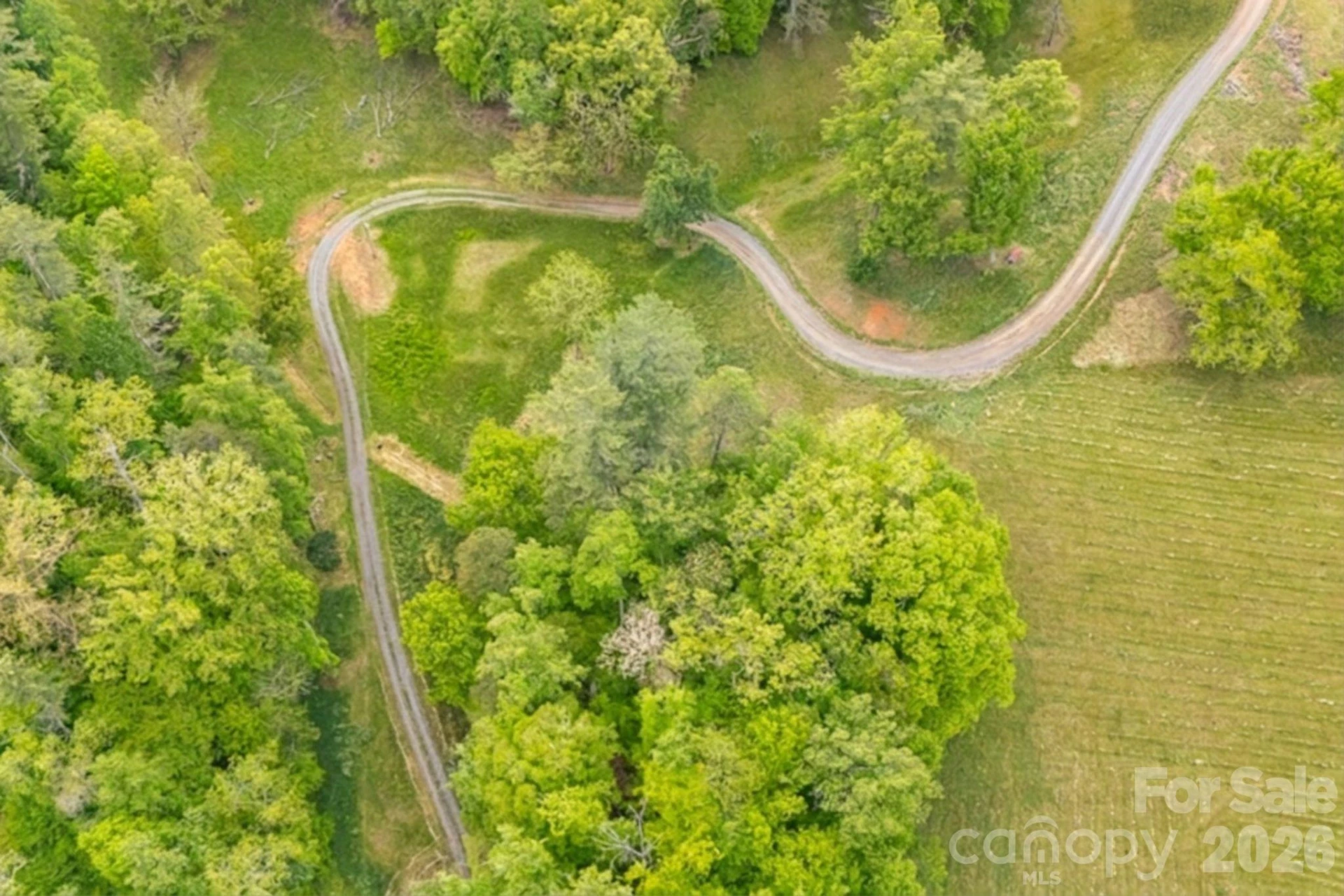 TBD California Creek Road - Photo 12