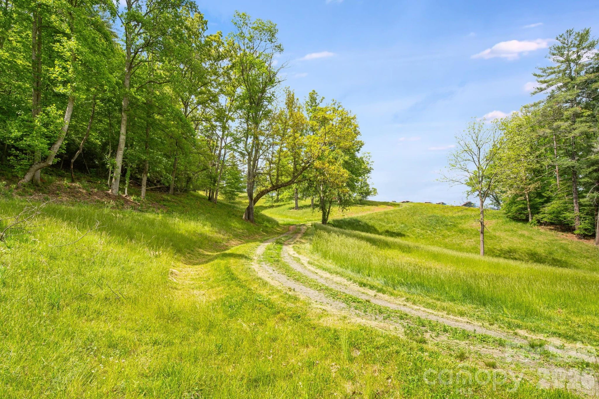 TBD California Creek Road - Photo 13