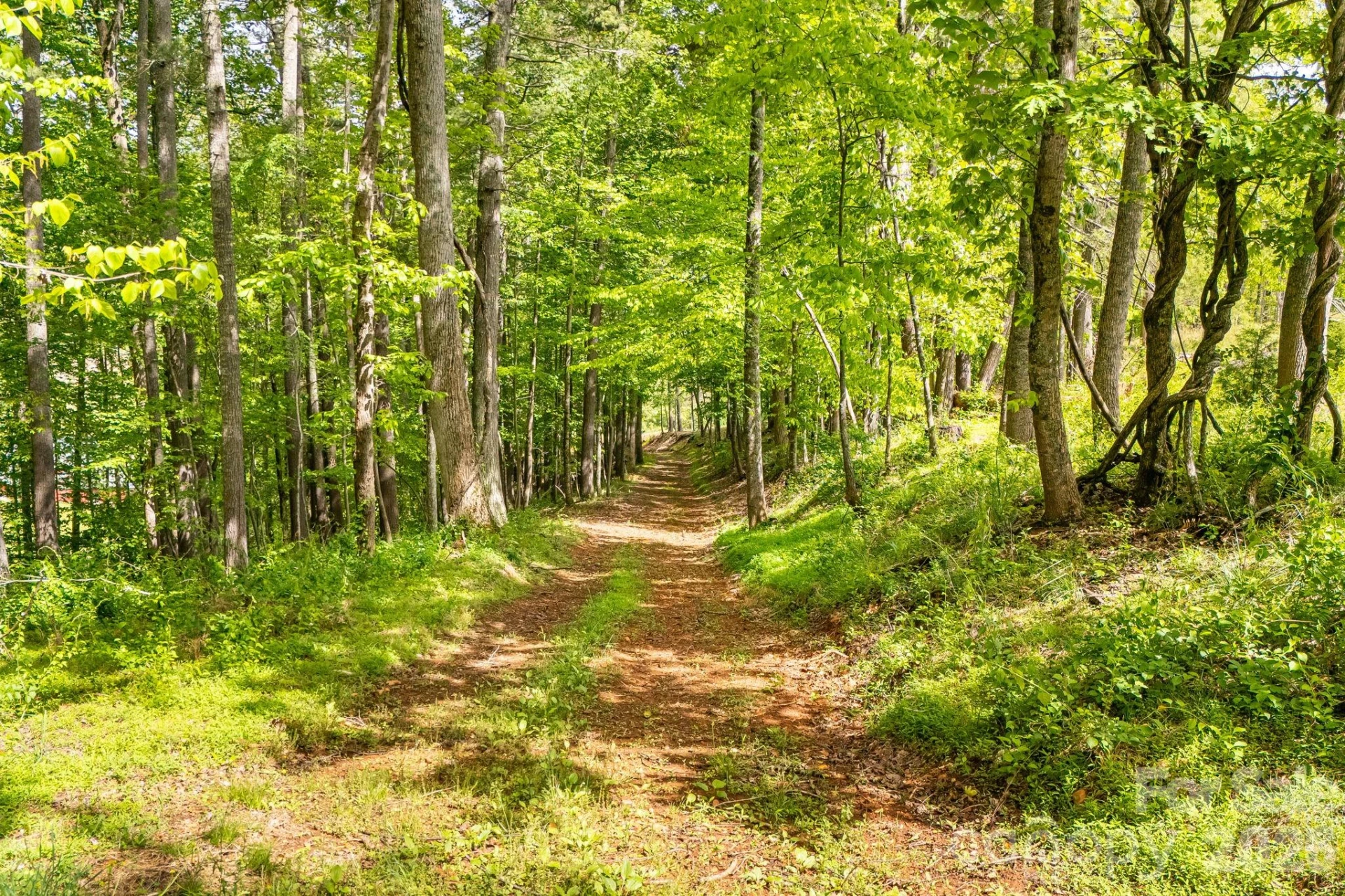 TBD California Creek Road - Photo 15