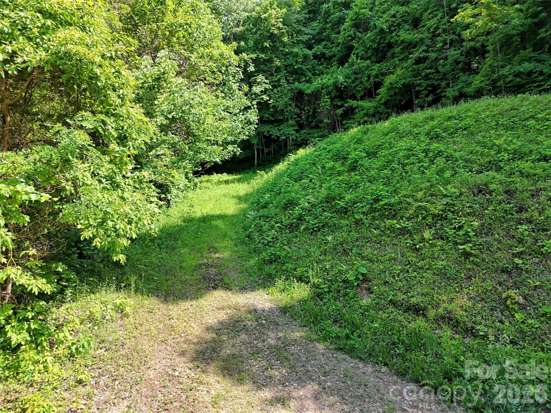 Lot 402 Malin Trail - Photo 7