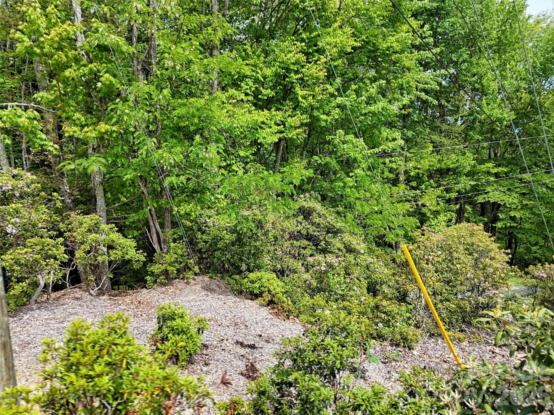 00 Leatherwood Road - Photo 11