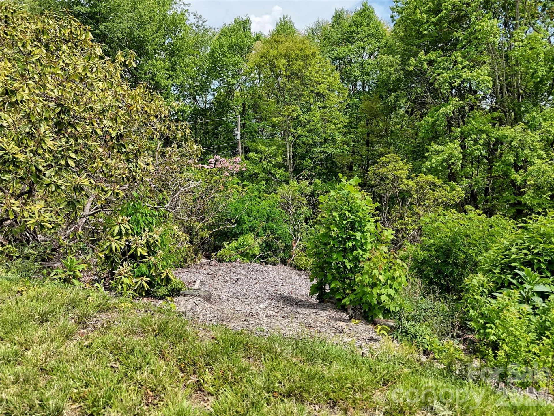 00 Leatherwood Road - Photo 12