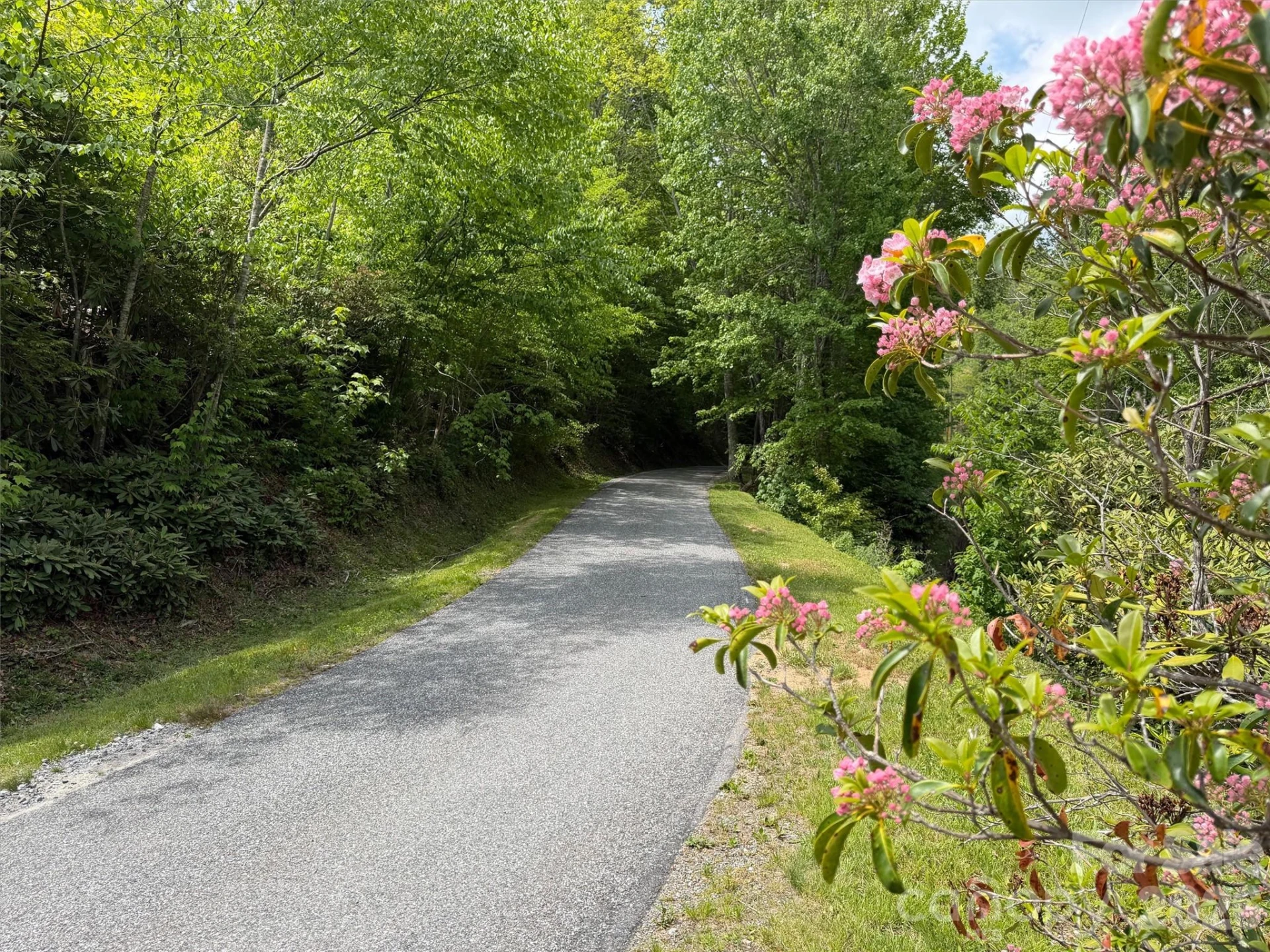 00 Leatherwood Road - Photo 5