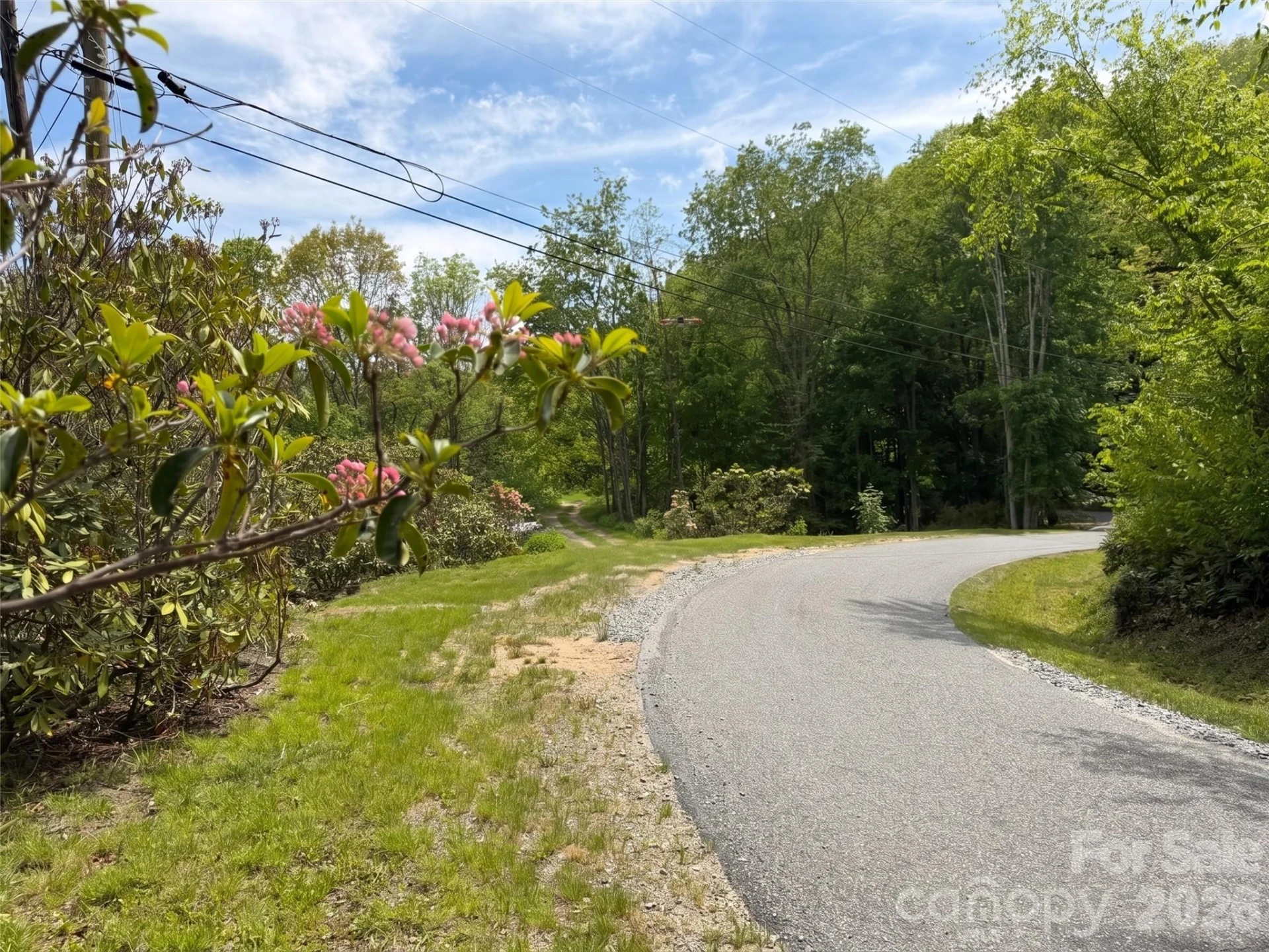 00 Leatherwood Road - Photo 6