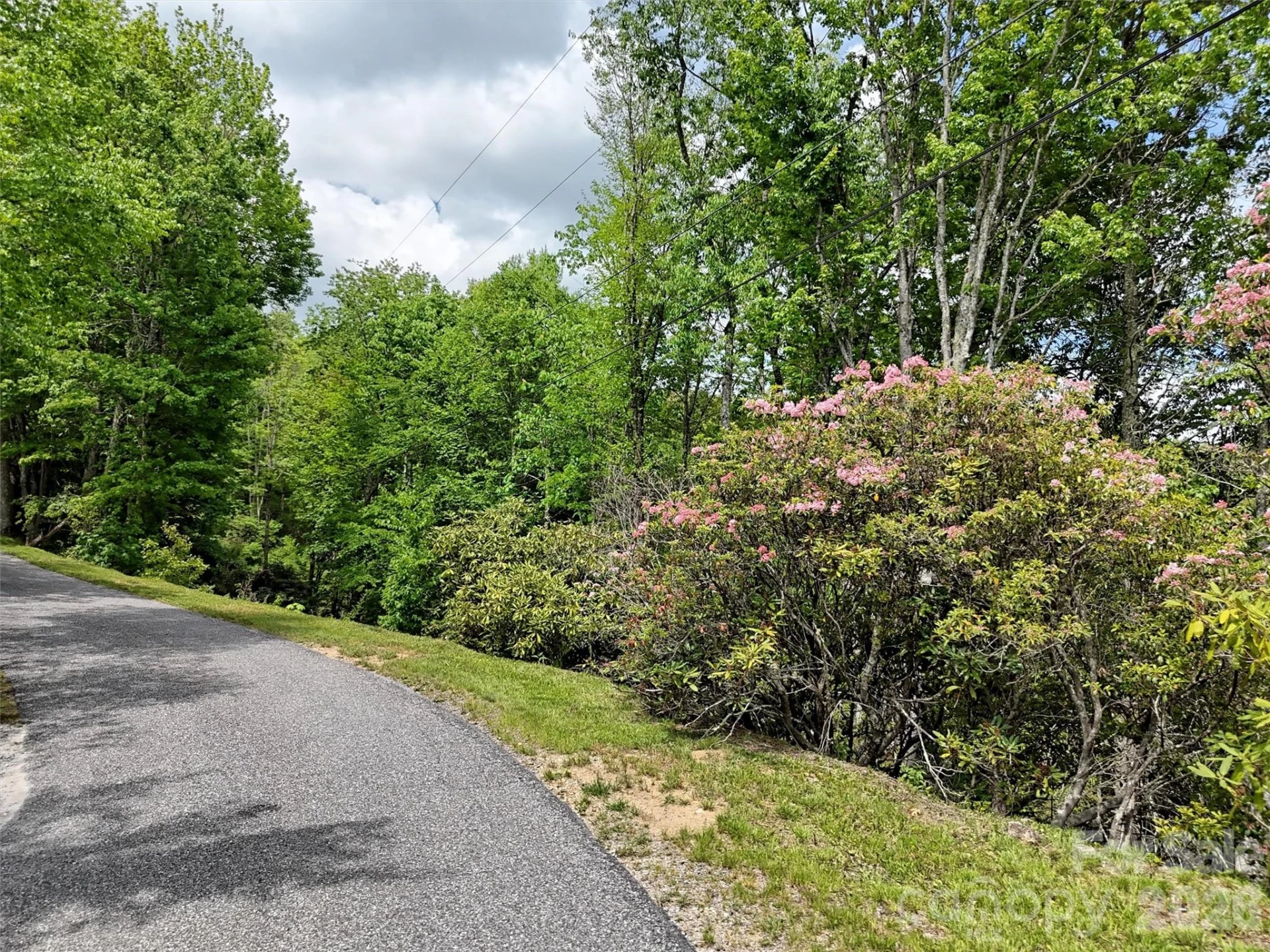 00 Leatherwood Road - Photo 8