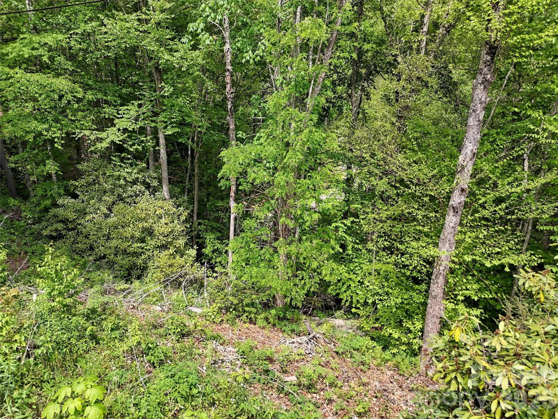 00 Leatherwood Road - Photo 9