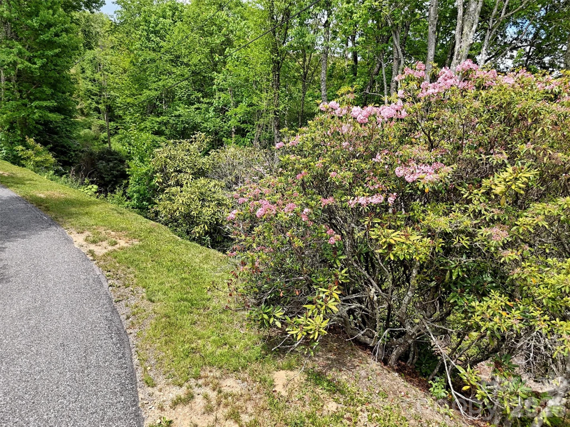 00 Leatherwood Road - Photo 10