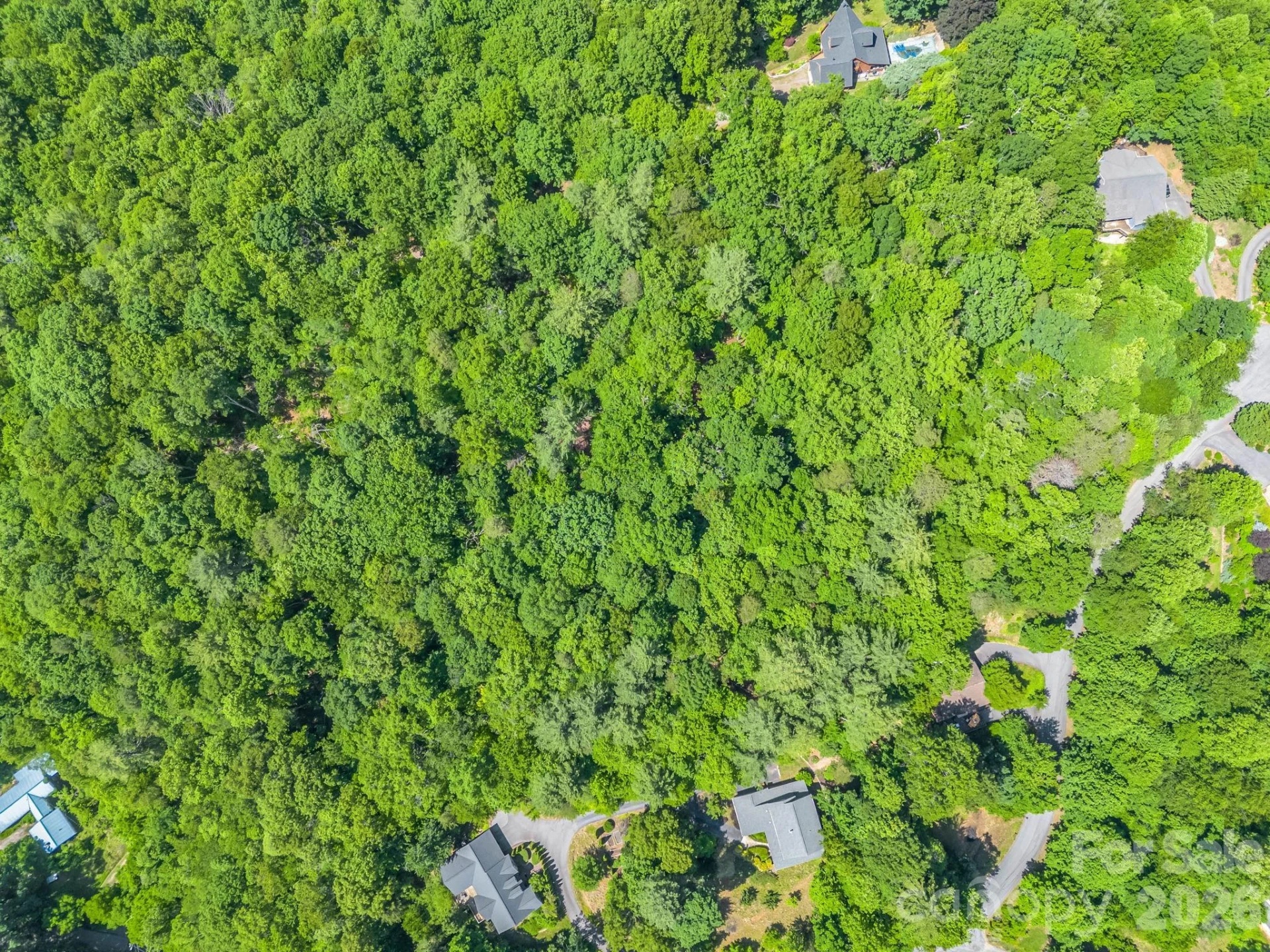 21 Wits End Trail - Photo 15