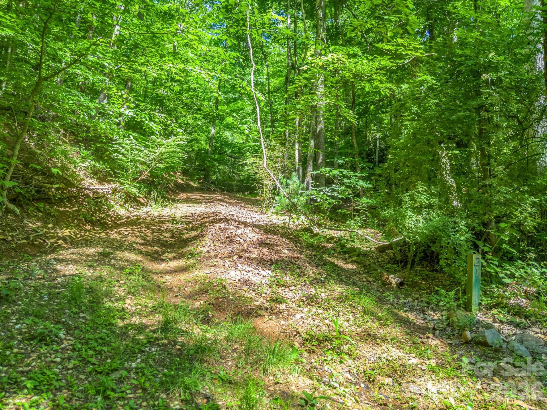 21 Wits End Trail - Photo 17