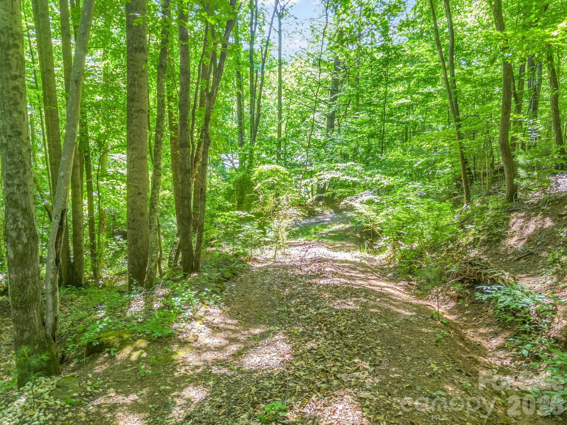 21 Wits End Trail - Photo 18