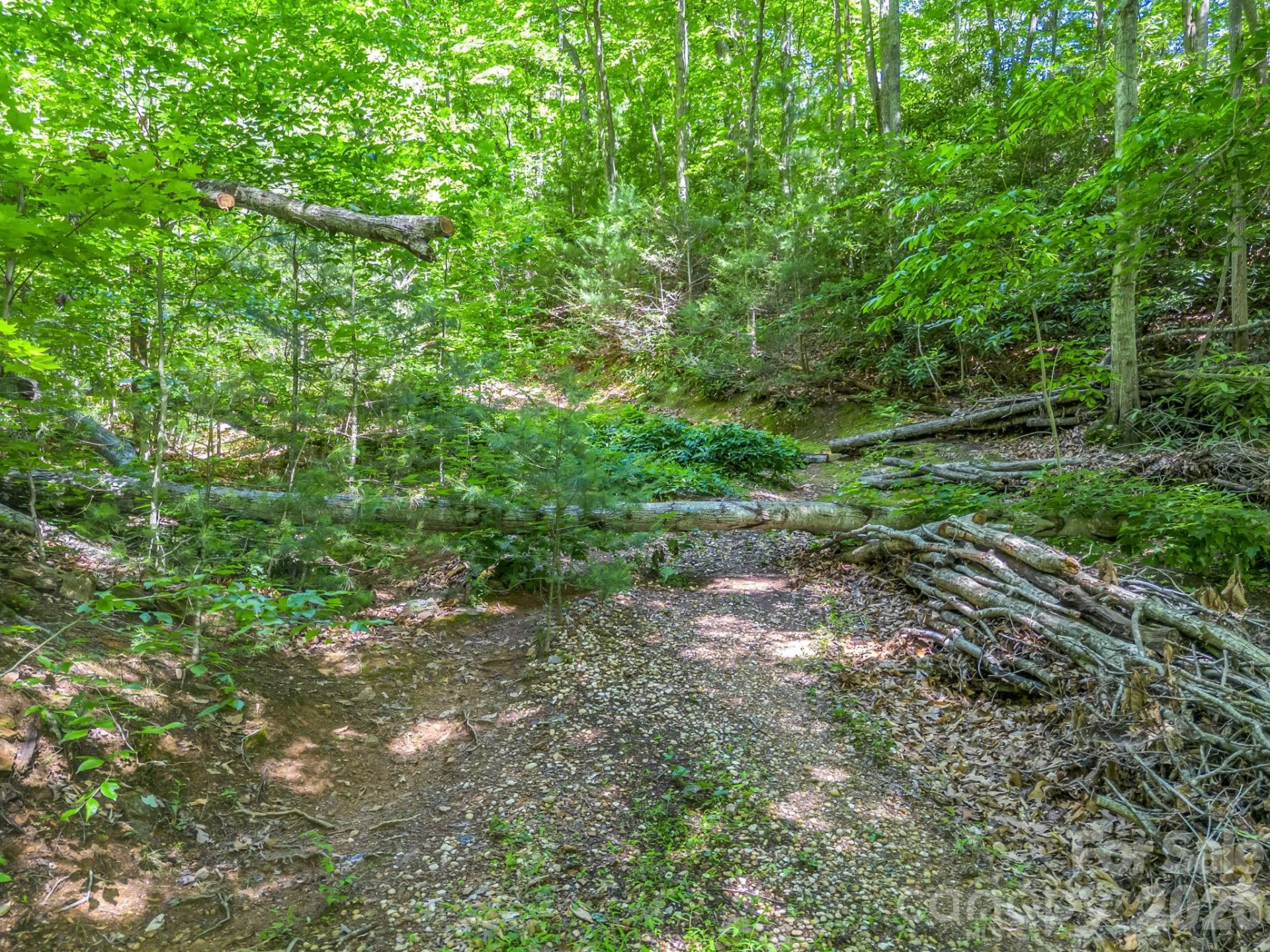 21 Wits End Trail - Photo 19