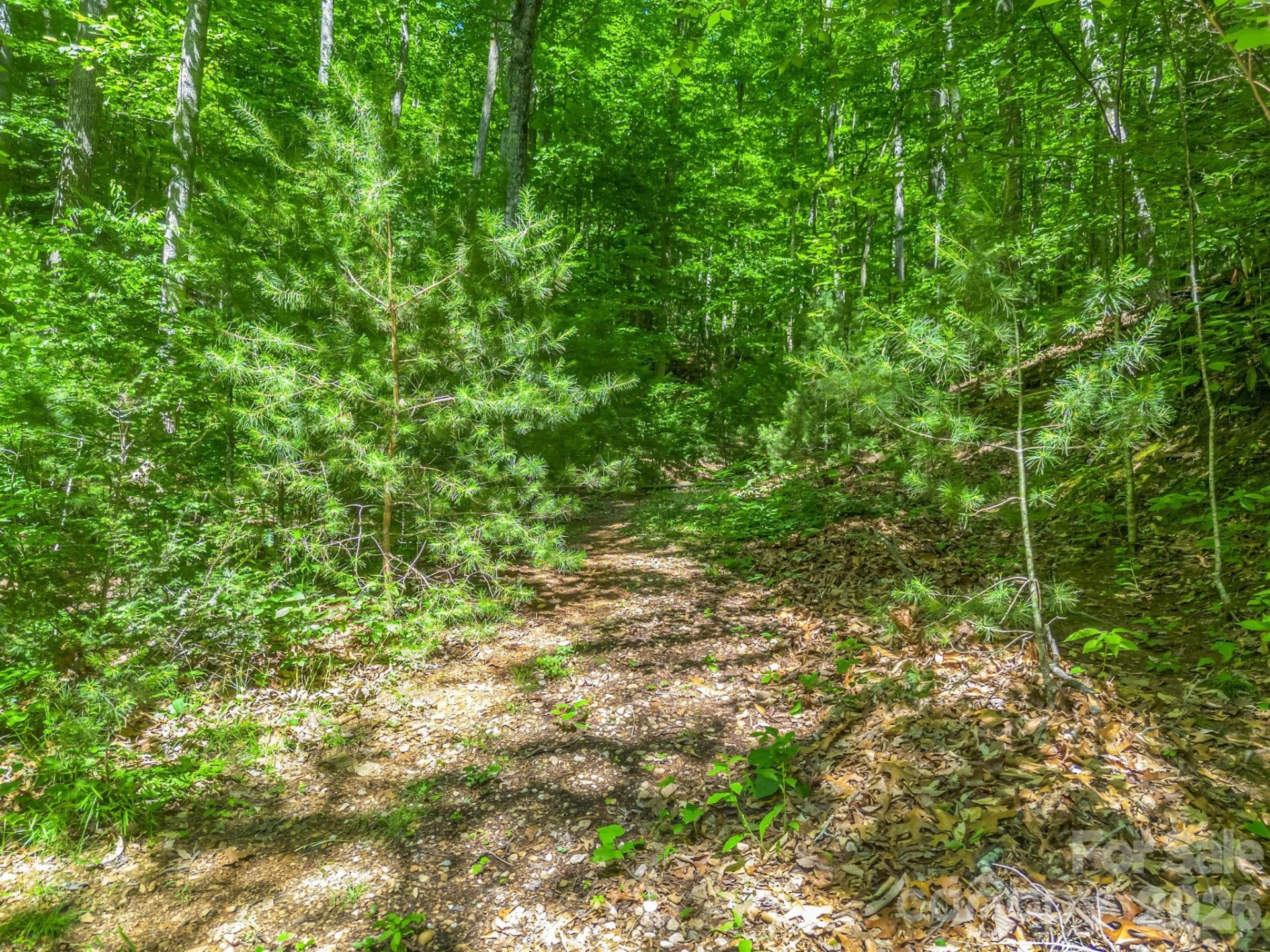 21 Wits End Trail - Photo 20