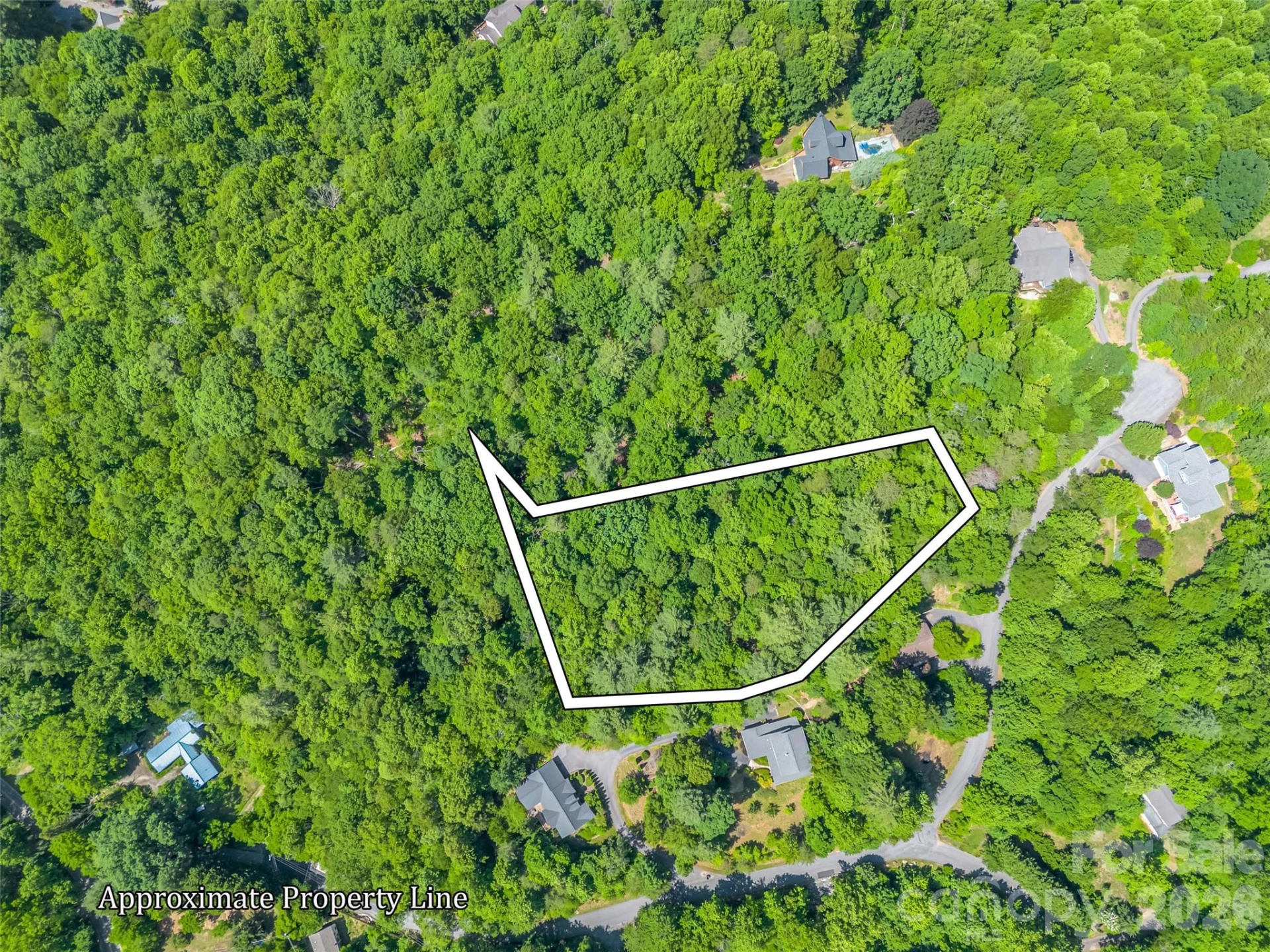21 Wits End Trail - Photo 3