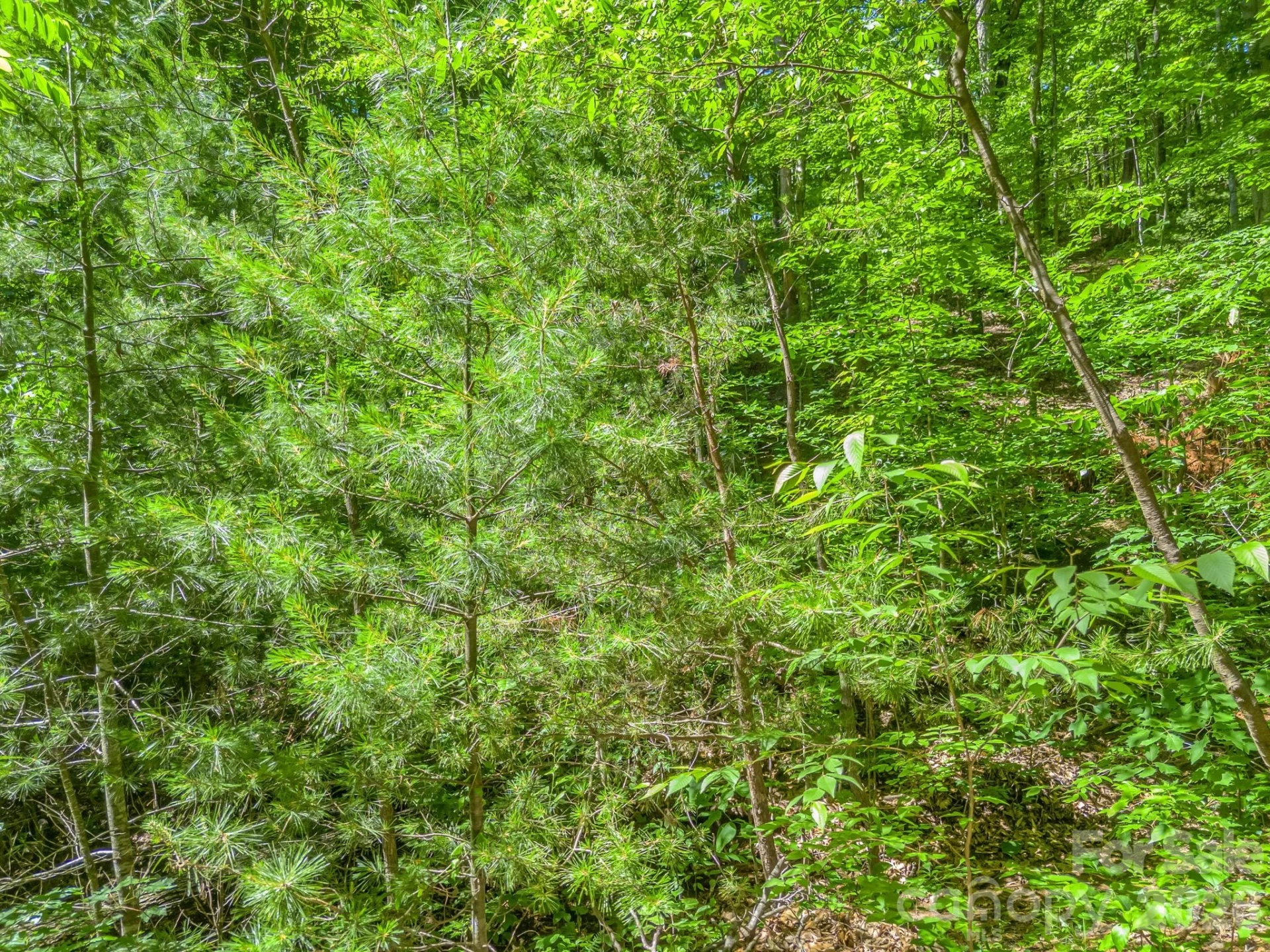 21 Wits End Trail - Photo 21