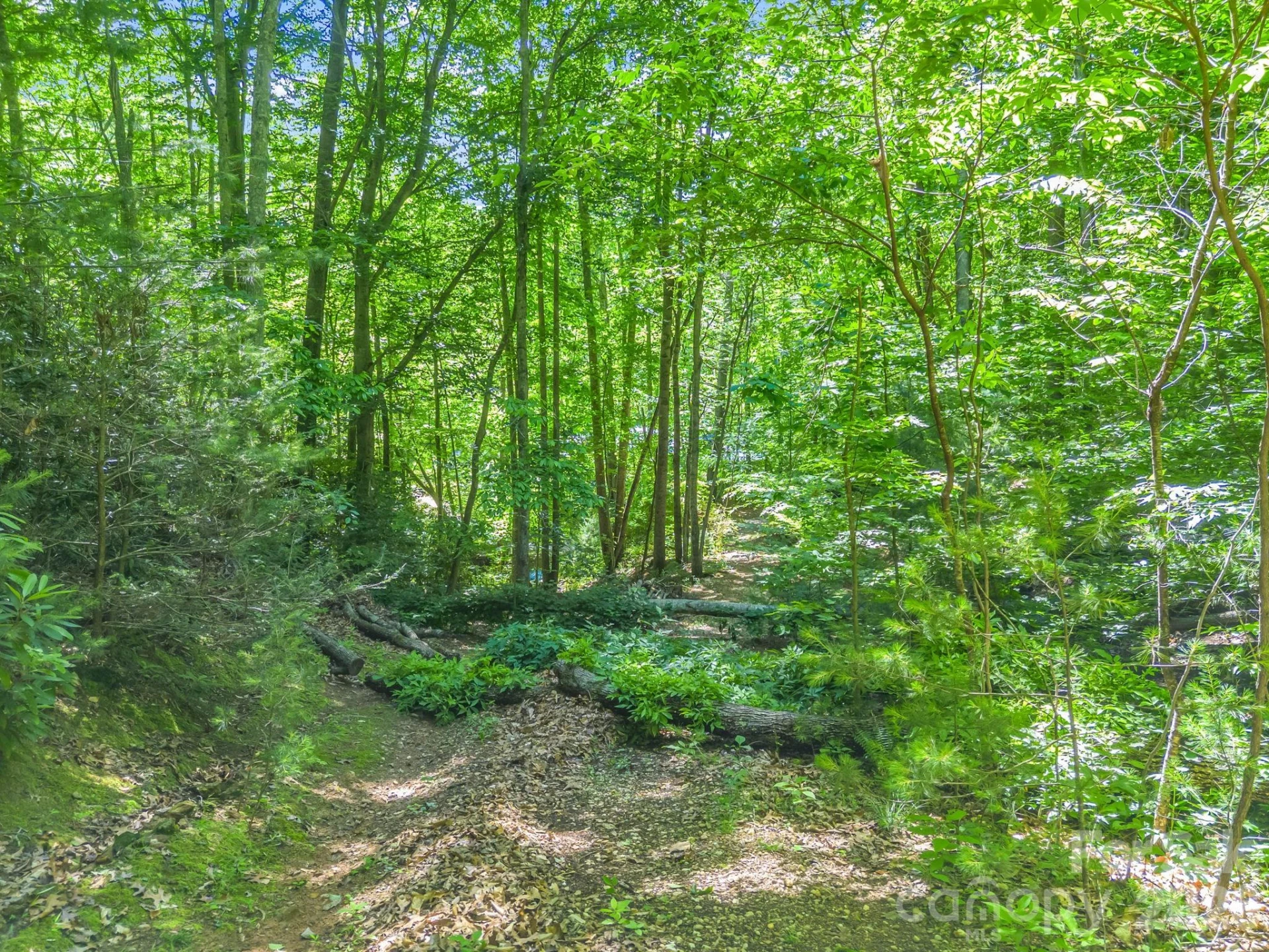 21 Wits End Trail - Photo 22