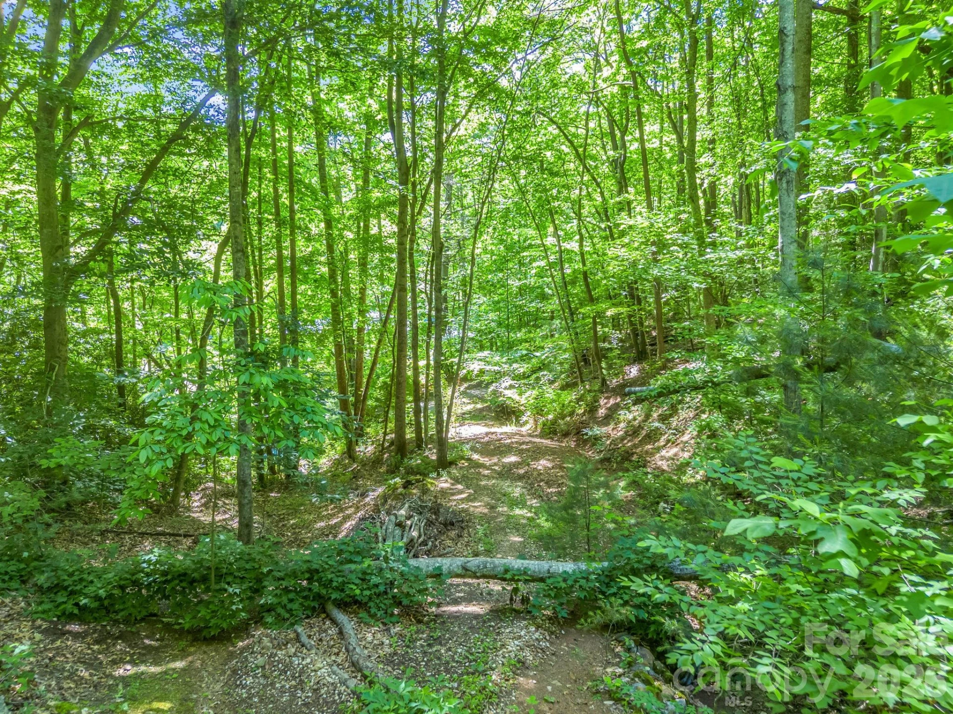 21 Wits End Trail - Photo 23