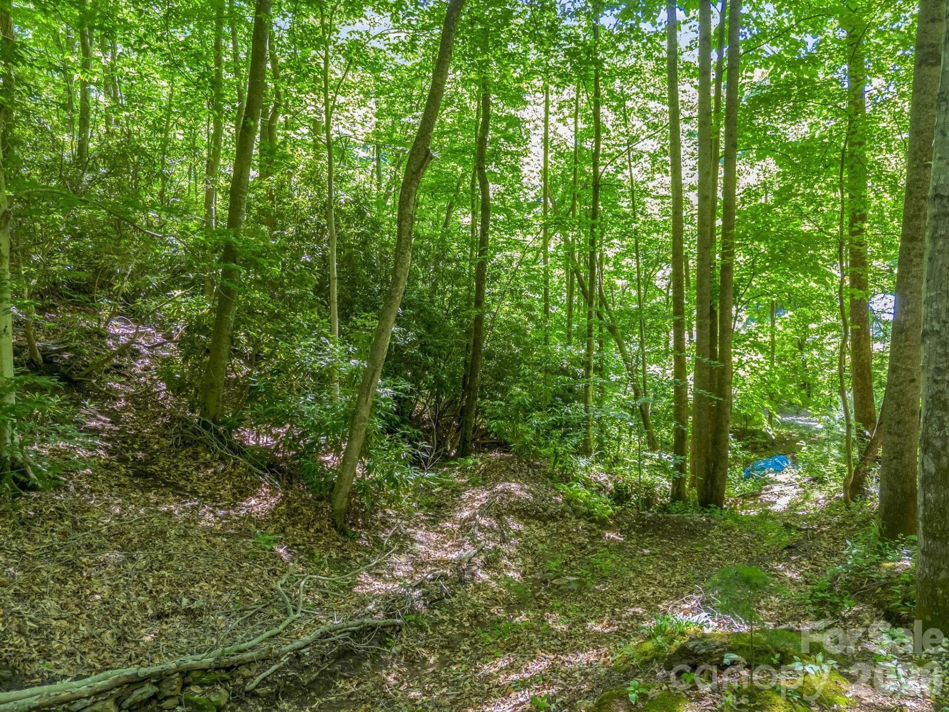 21 Wits End Trail - Photo 24