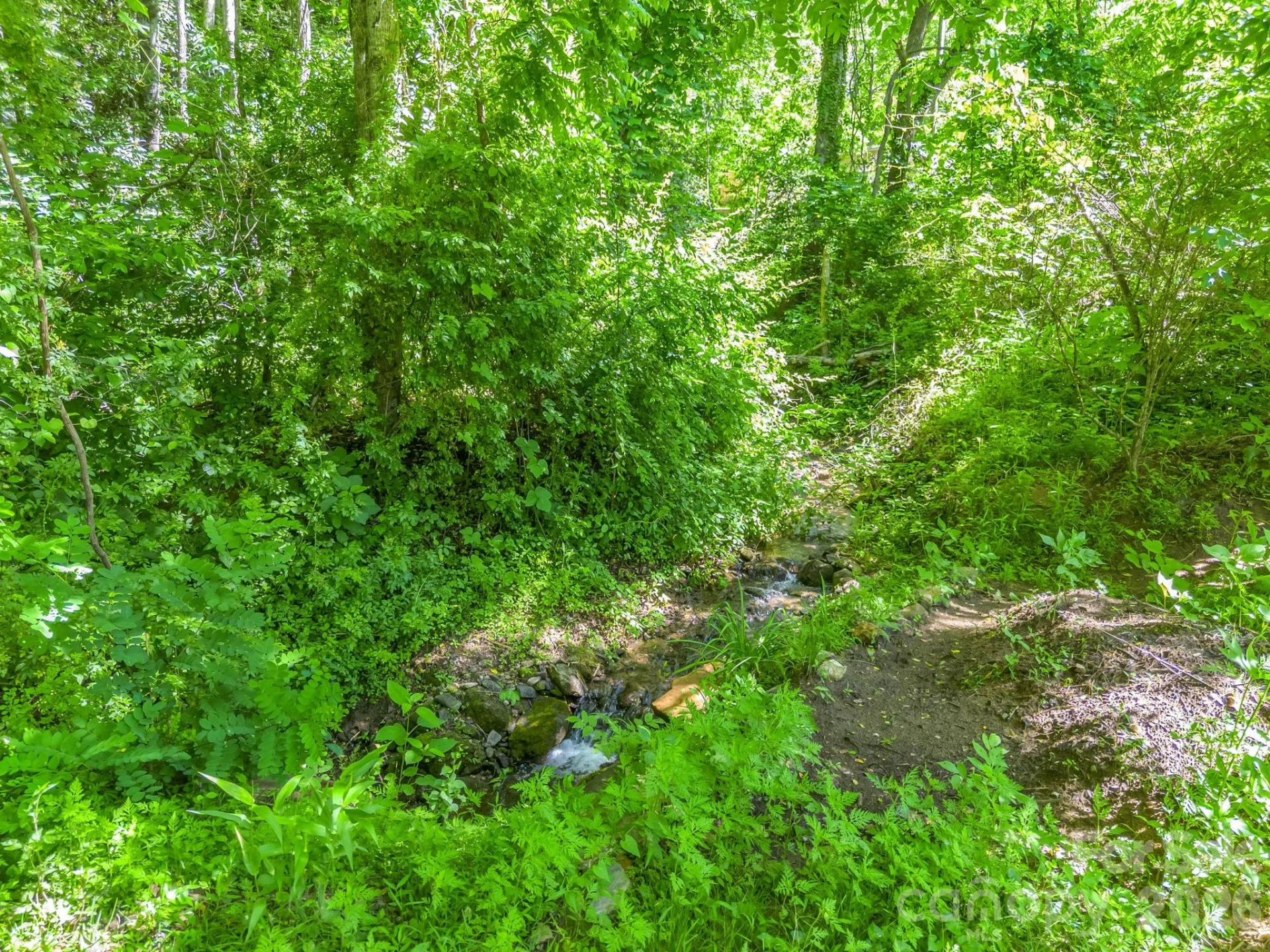 21 Wits End Trail - Photo 26