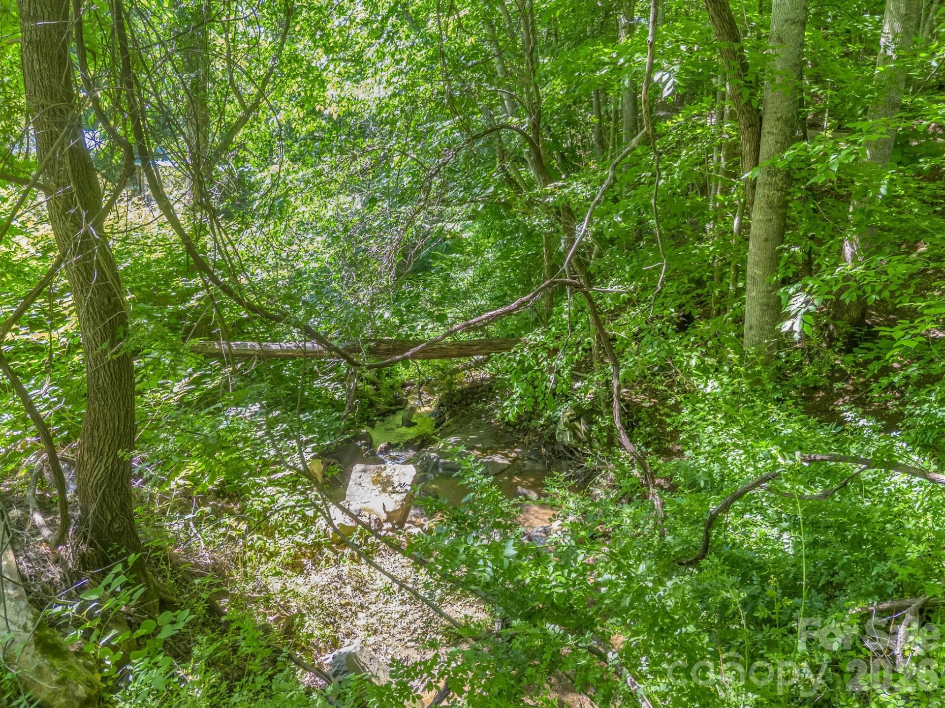 21 Wits End Trail - Photo 27
