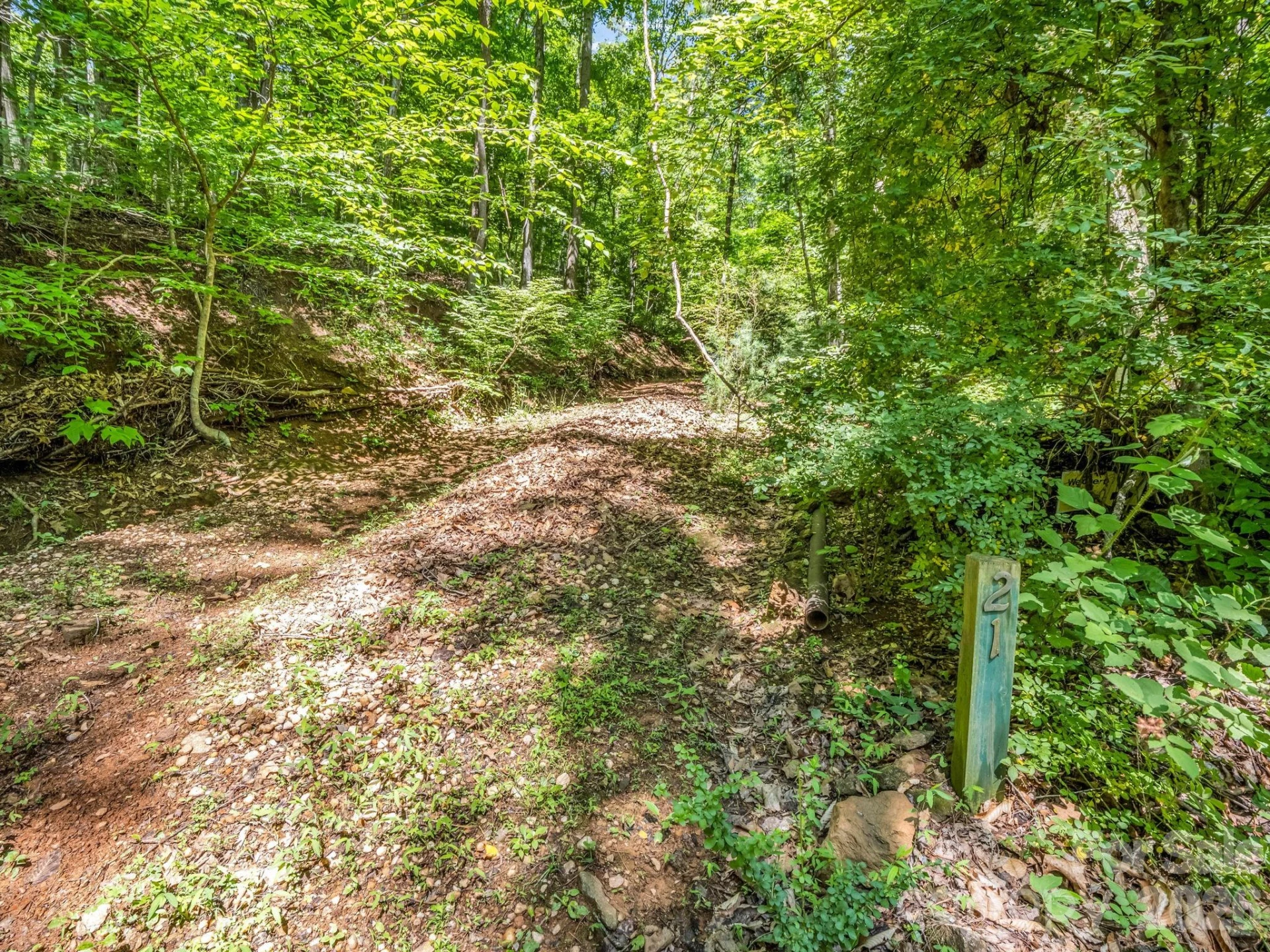 21 Wits End Trail - Photo 29