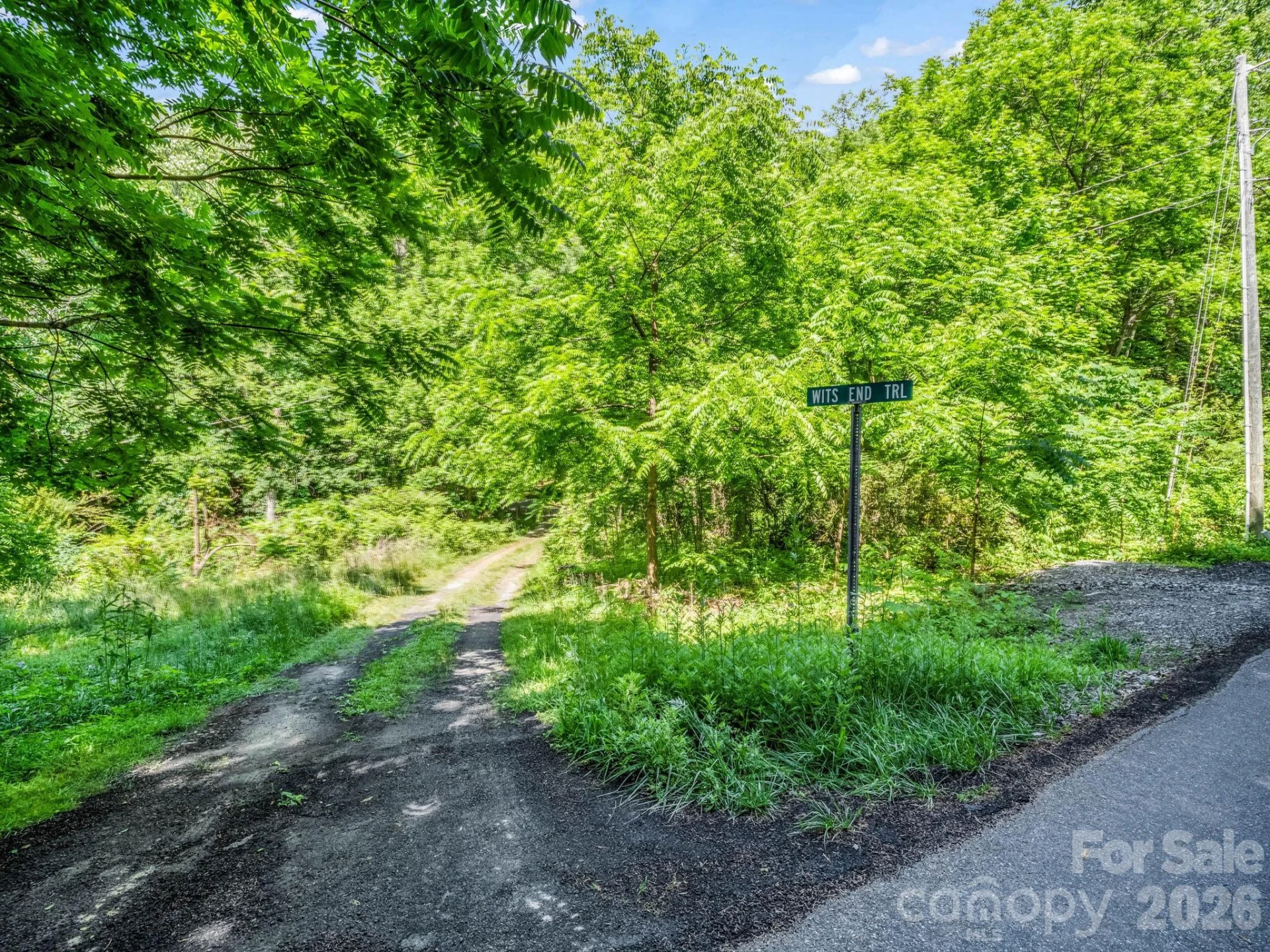 21 Wits End Trail - Photo 30