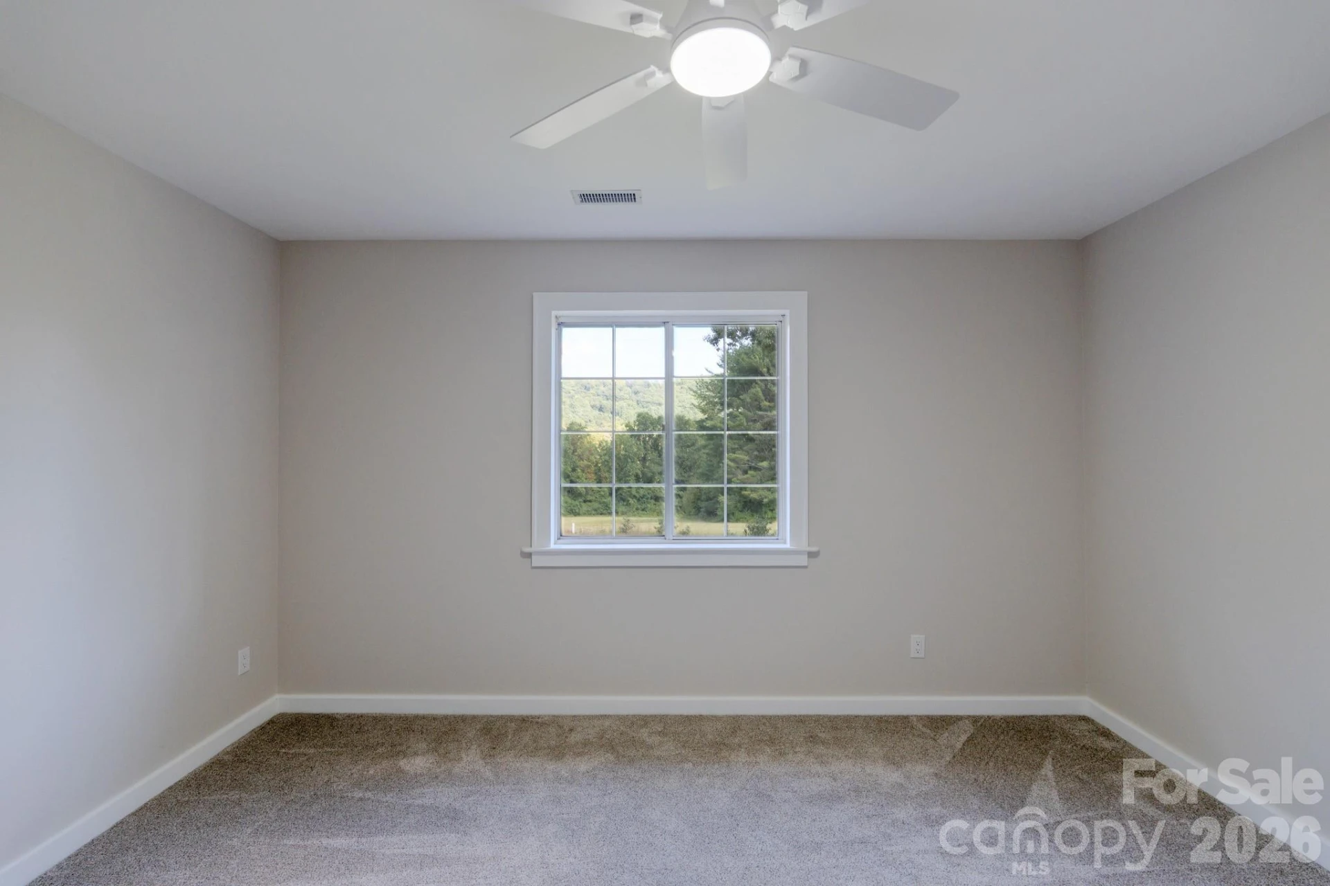 540 Old Haw Creek Road - Photo 19