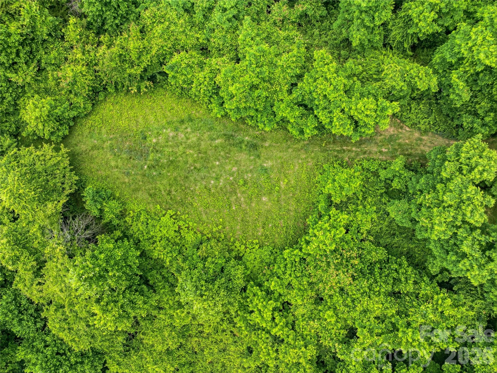 1877 Wilson Cove Road - Photo 34