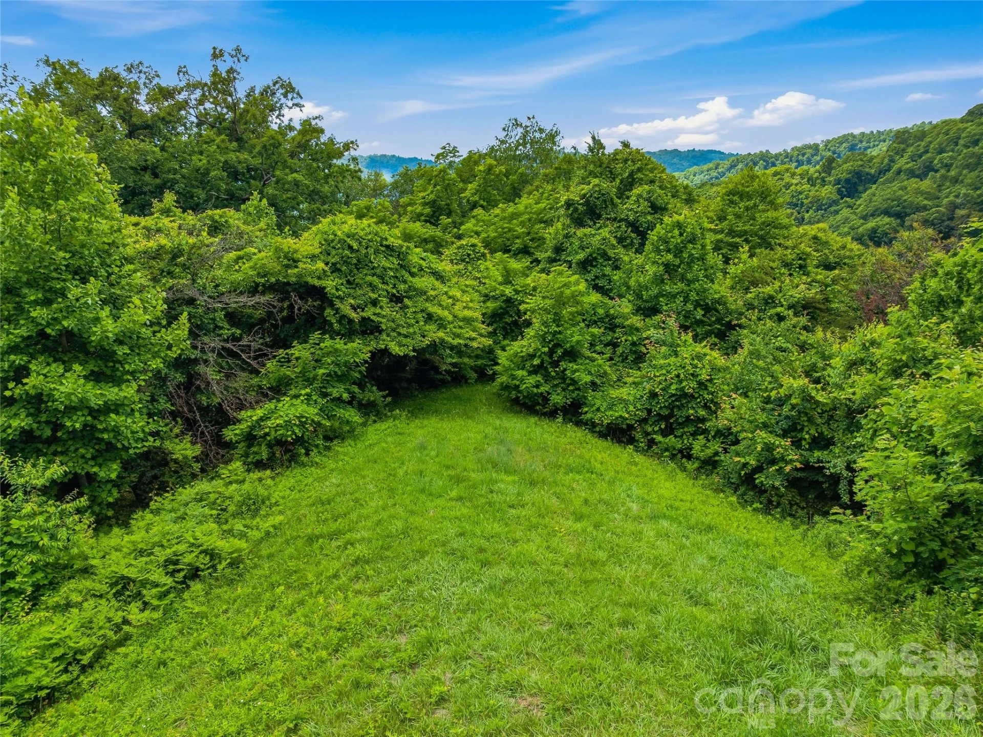 1877 Wilson Cove Road - Photo 36